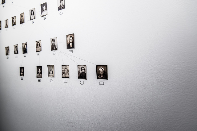 Genogram Installation