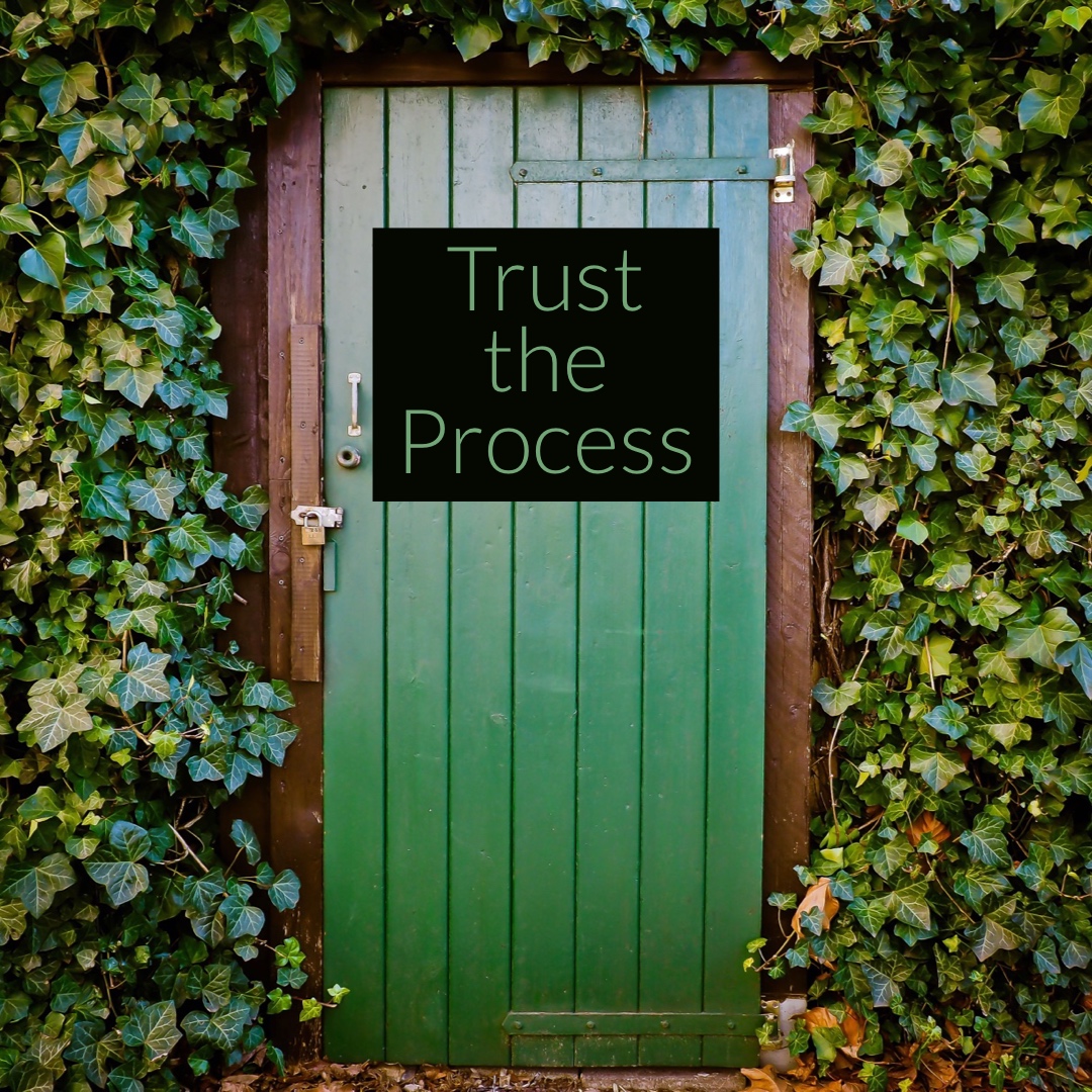 trusttheprocess.jpeg