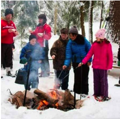 Camp Forest Springs