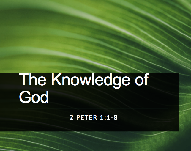 Screen Shot 2019-07-21 at 11.51.13 AM.png