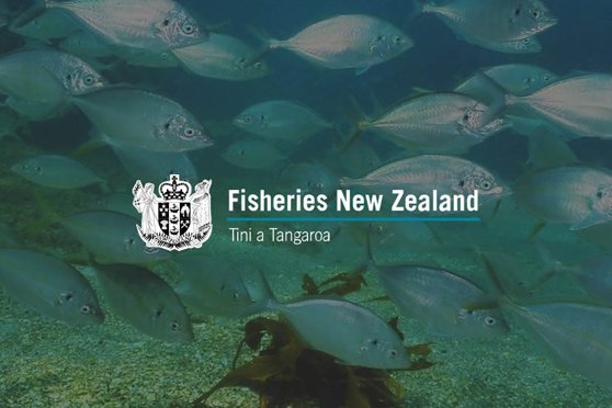 Fisheries New Zealand.jpg