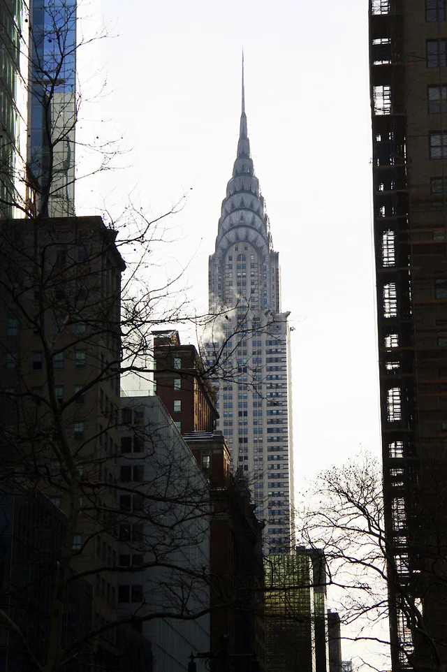 IMG_4441-001.jpg