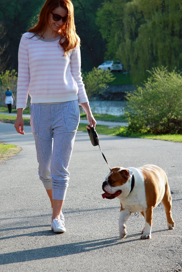 I AM WEARING: H&M Sweater // T by Alexander Wang Pants // Converse Chuck Taylor Slim Sneakers // Valentino Sunglasses
