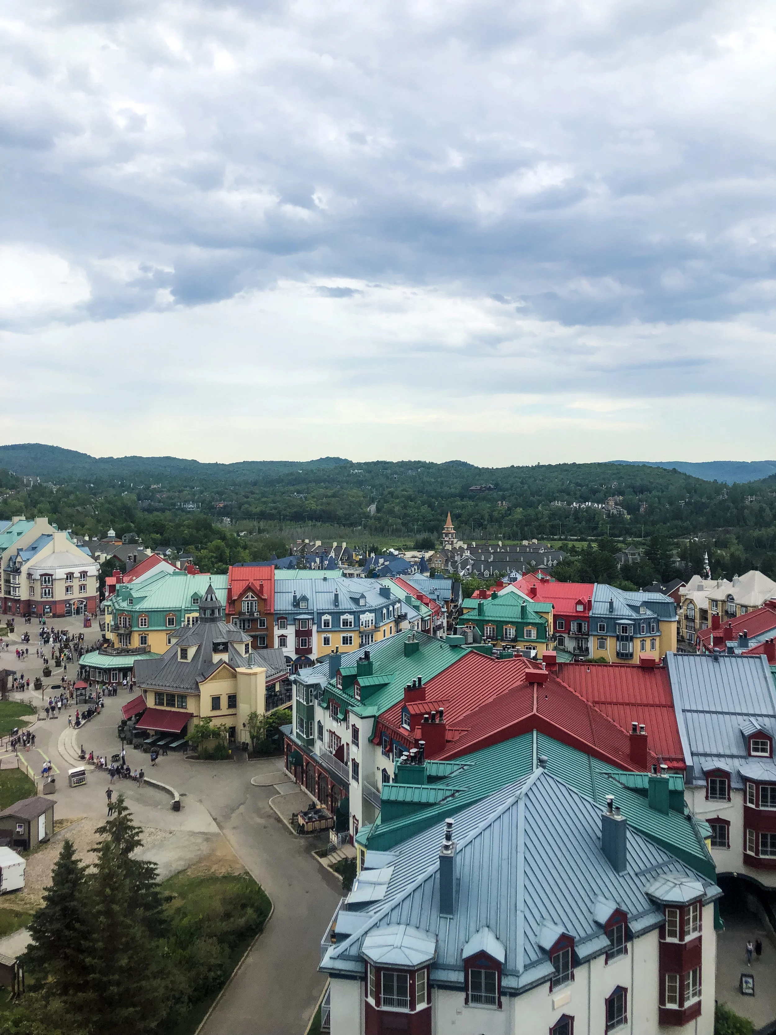 IMG_7410.jpg
