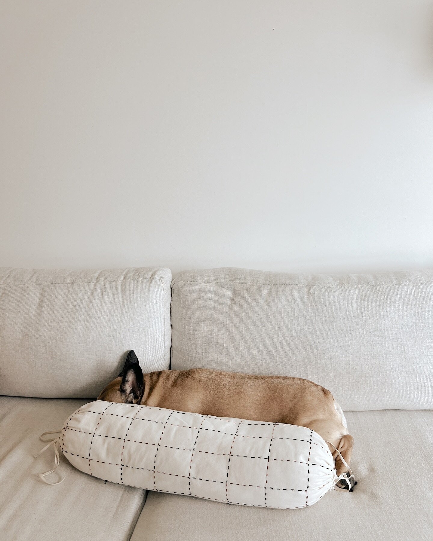 A little ham &amp; an @esbe.studio bolster. 

#frenchiesofinstagram