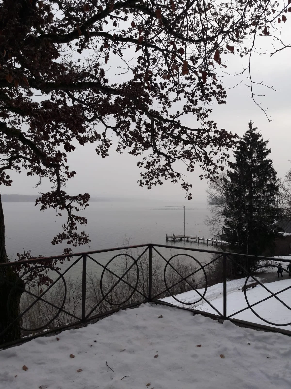 A mystic look across Starnberger See