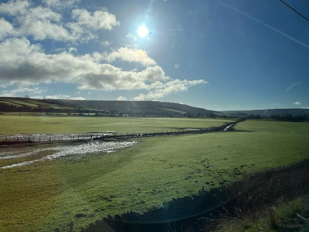 WhatsApp Image 2023-04-13 at 15.20.13.jpeg