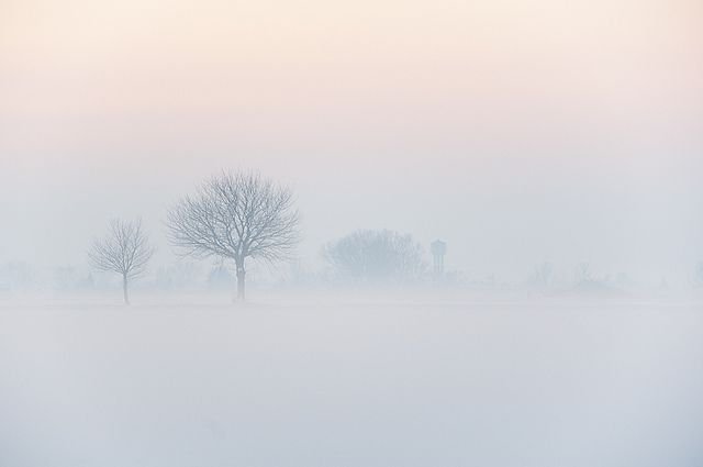 28 Amazing Outdoor Photographs from This Winter.jpeg