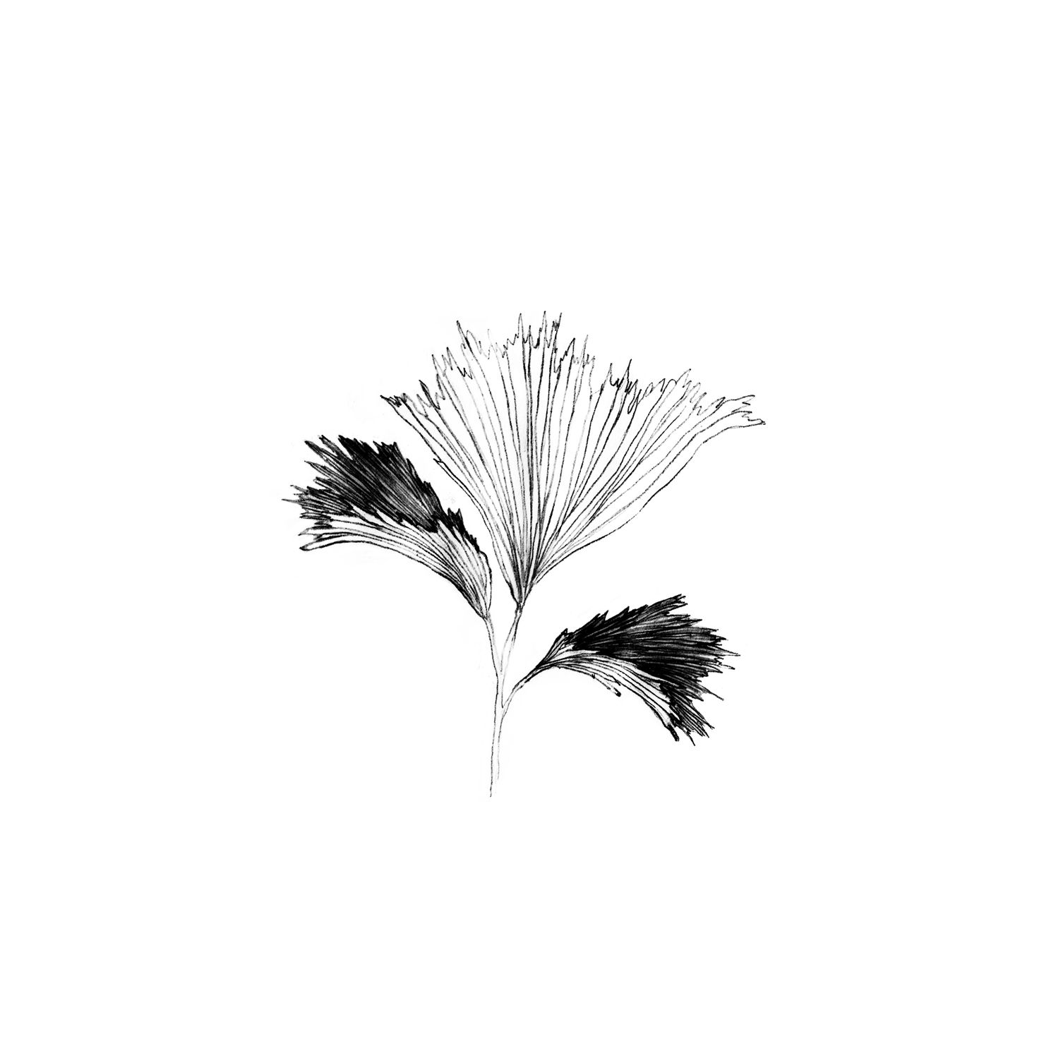 ilustra3.png