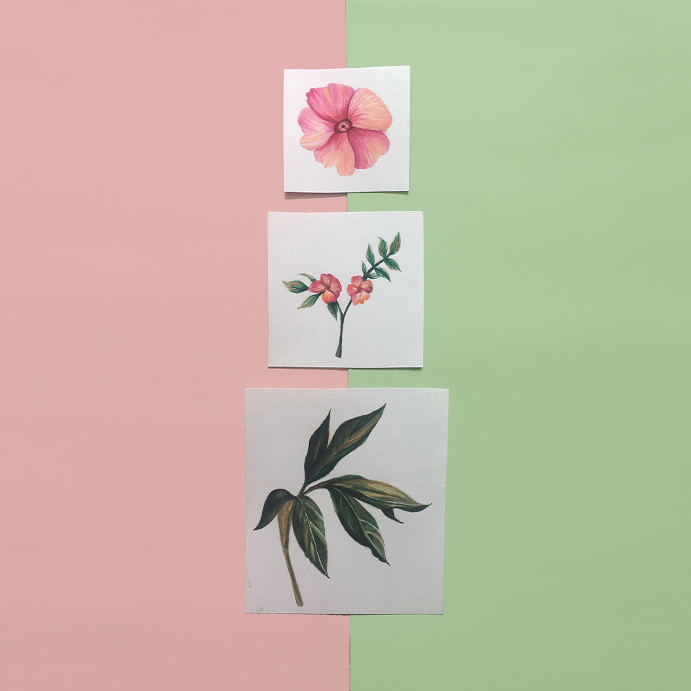 milapetry_grid_25_02.png
