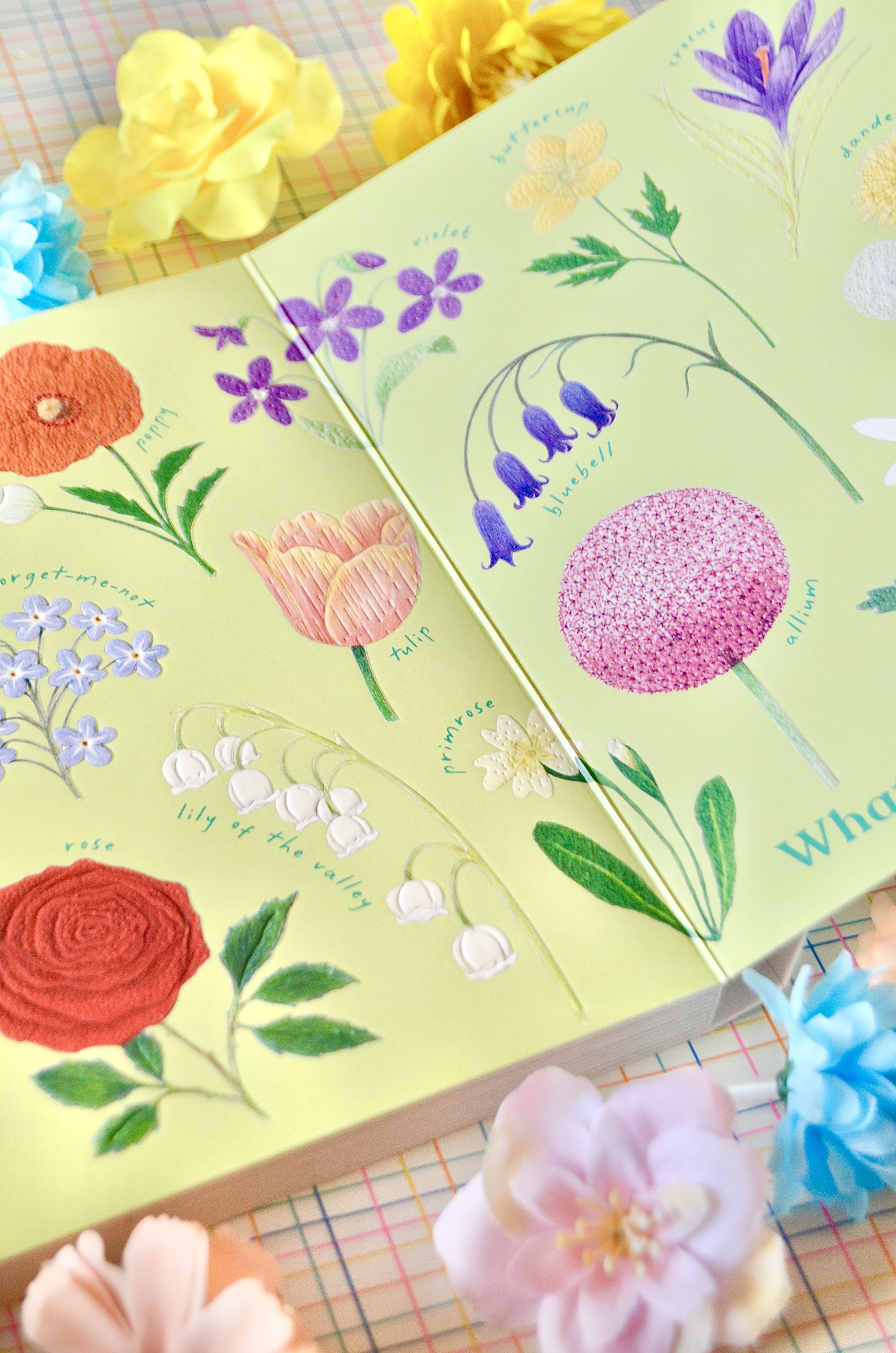 Photo 04-01-2026, 13 20 58.jpg