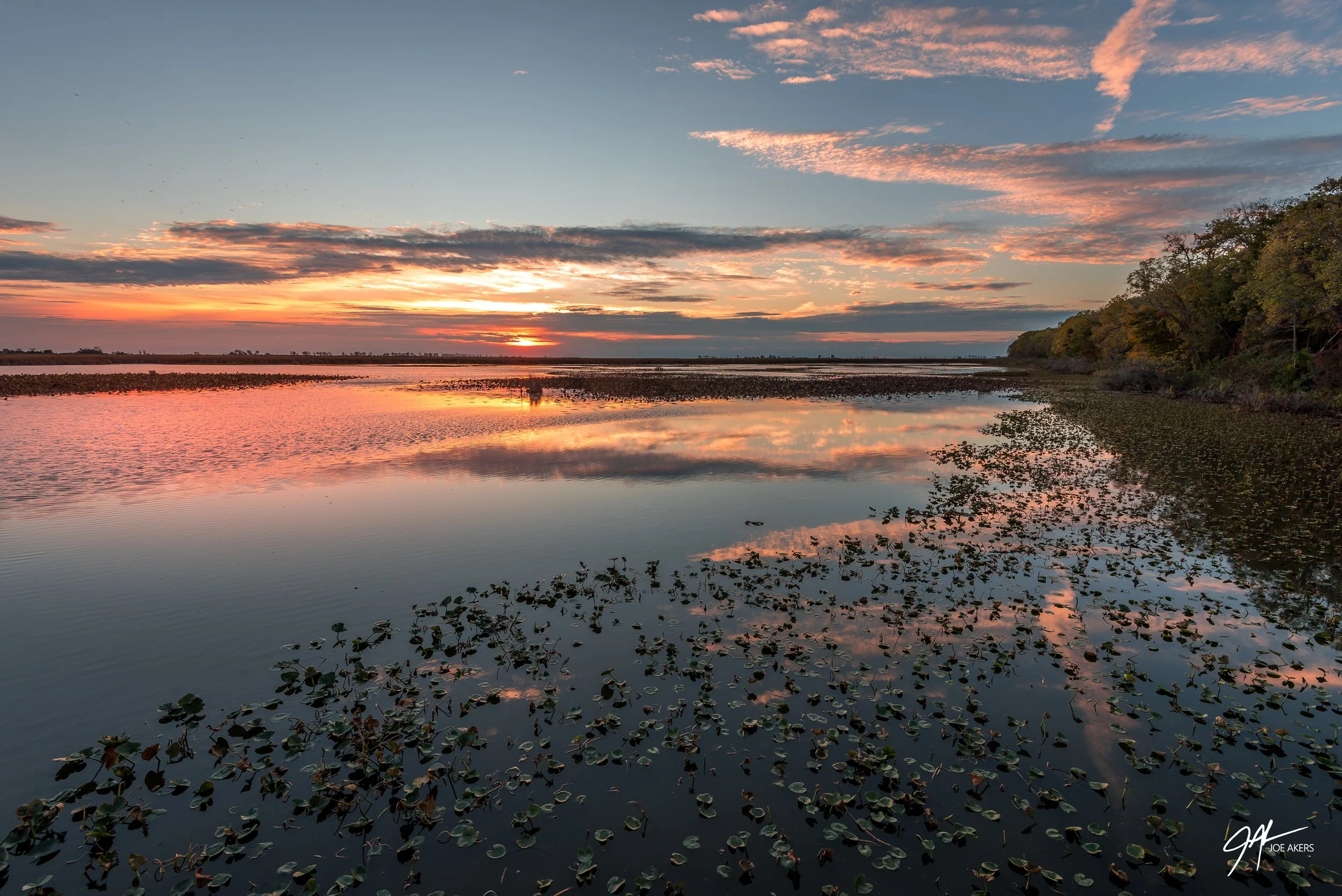 Point Pelee, ONT - Oct. 2025