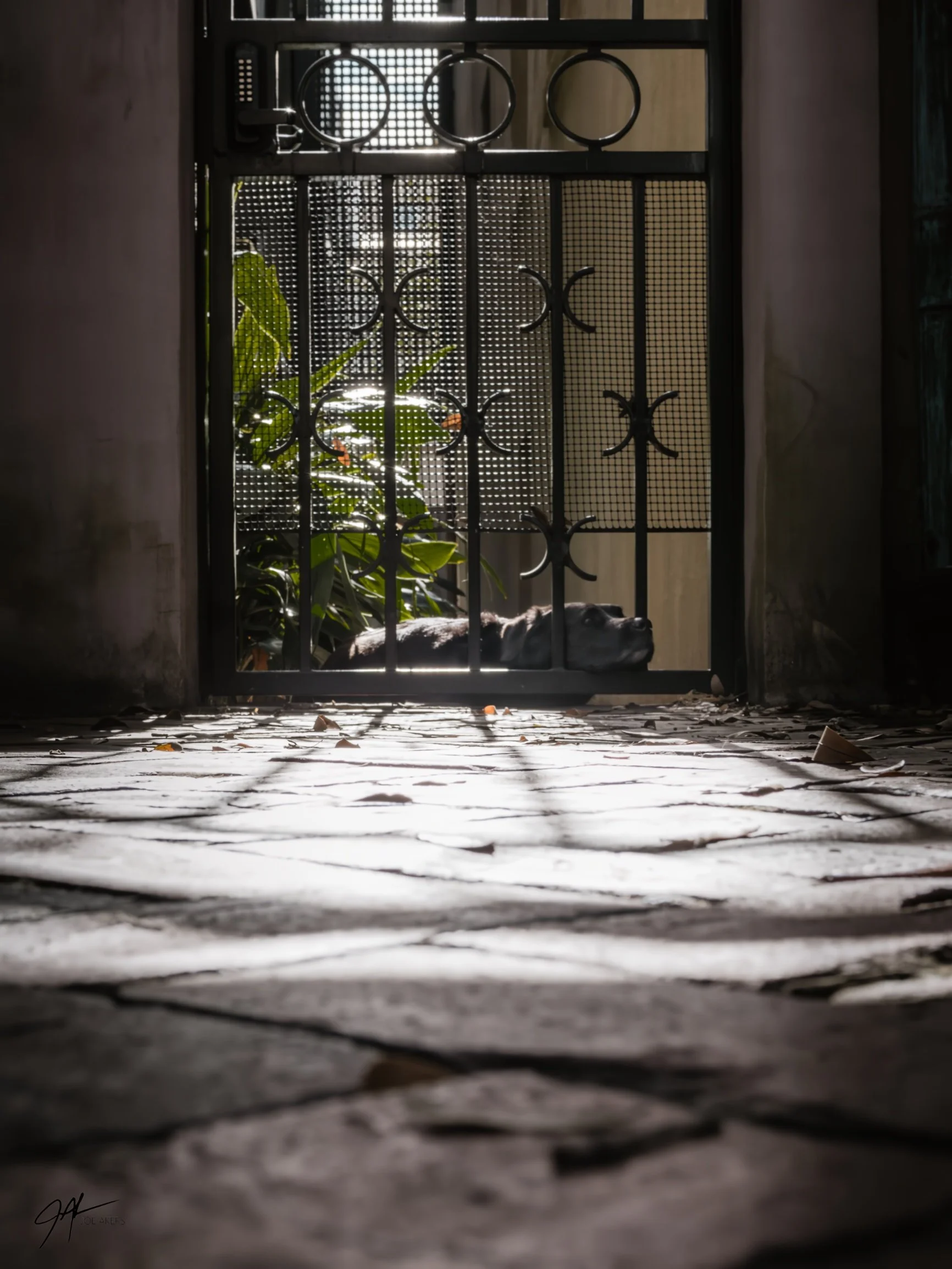 Savannah, GA - Dec. 2025