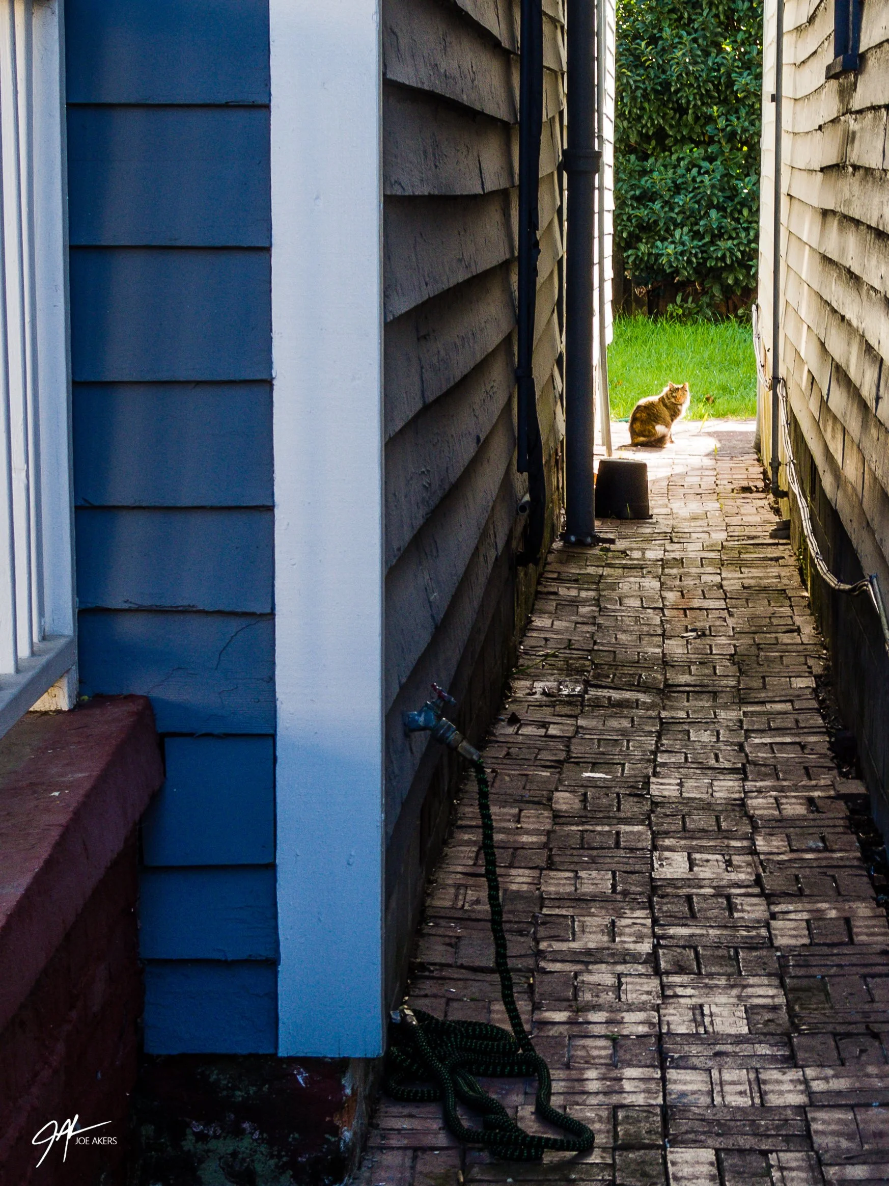 Savannah, GA - Dec. 2025