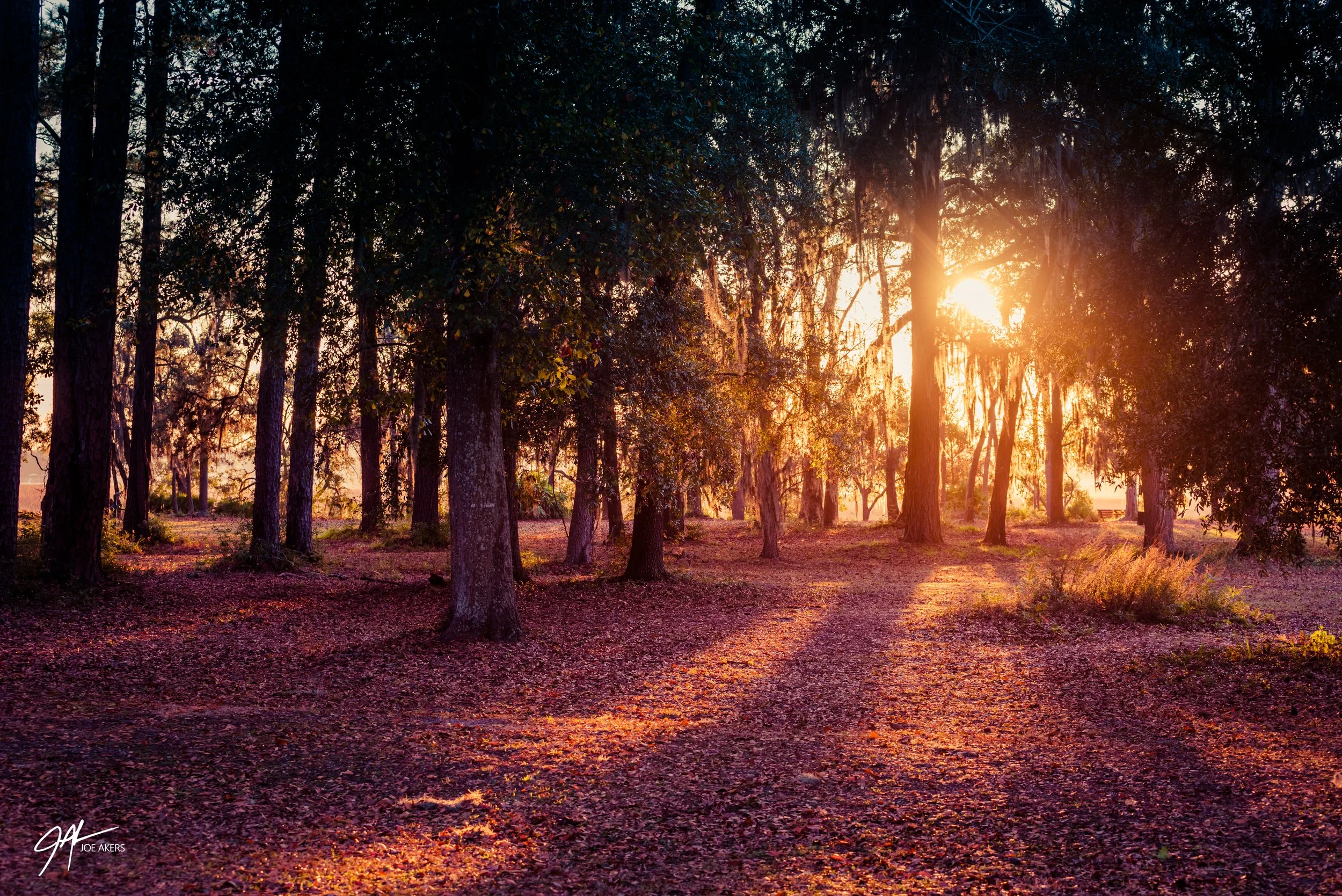 Beaufort, SC - Dec. 2025