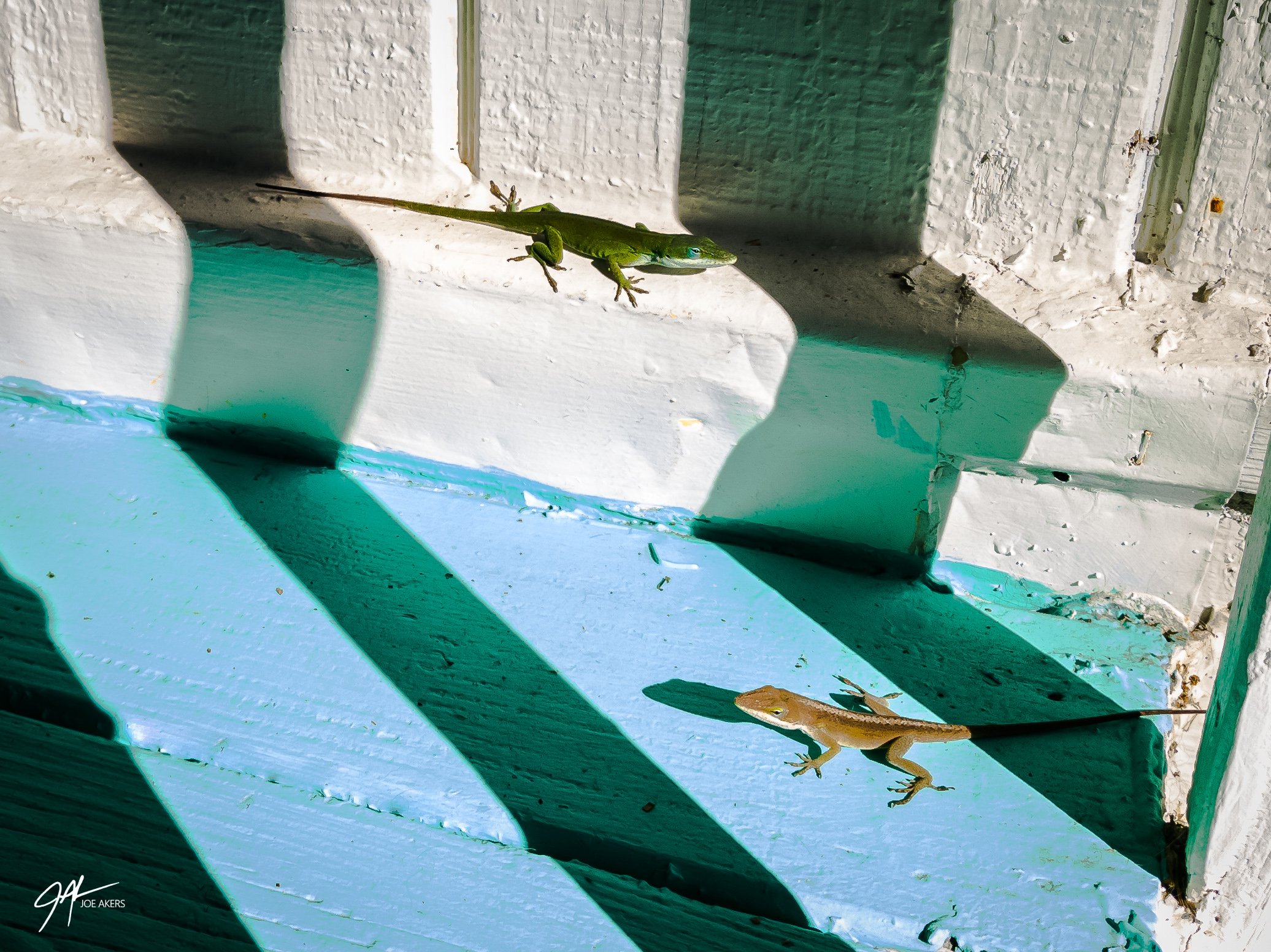 Beaufort, SC - Dec. 2025