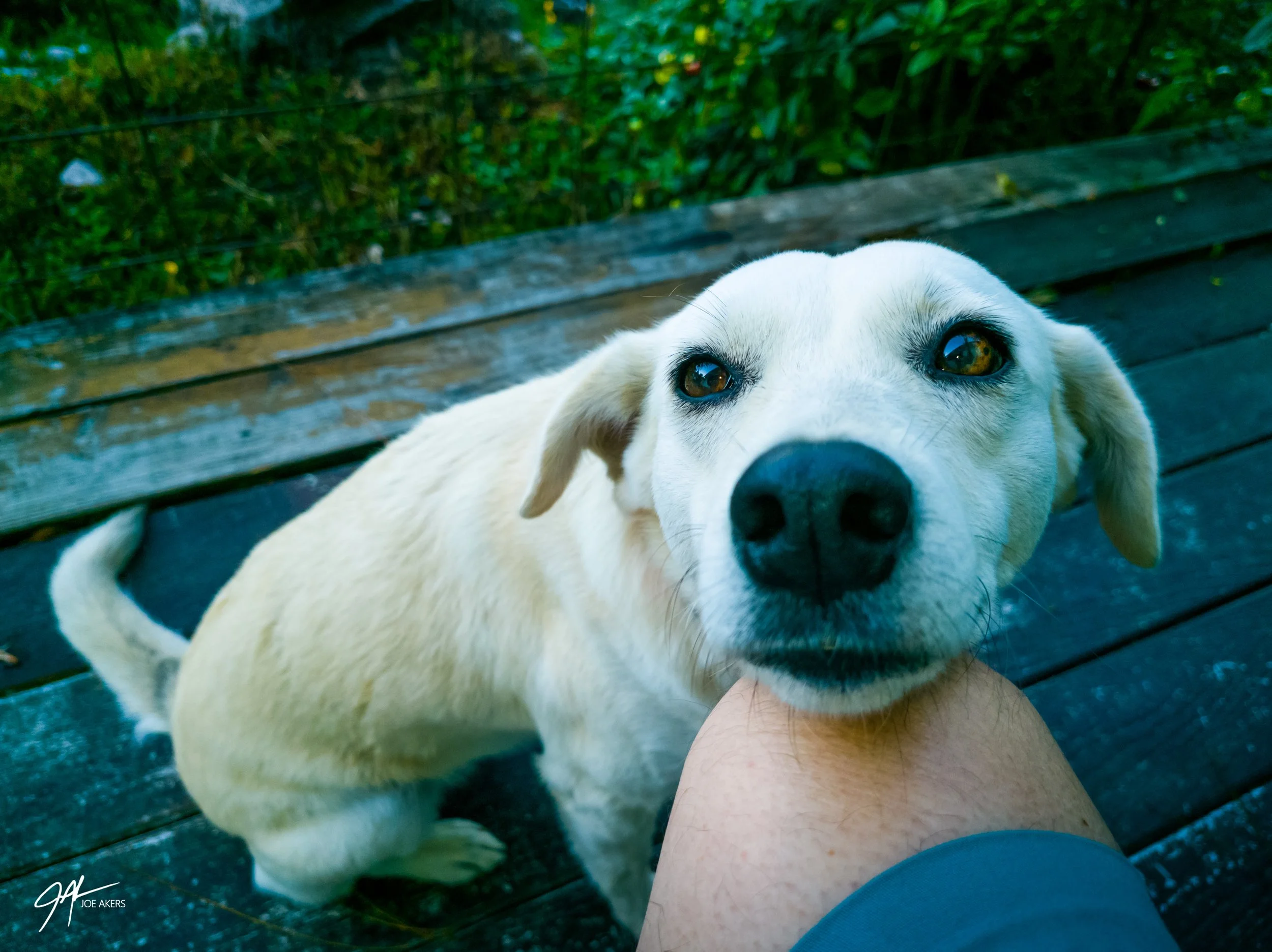 El Valle de Anton, Panama - April, 2026