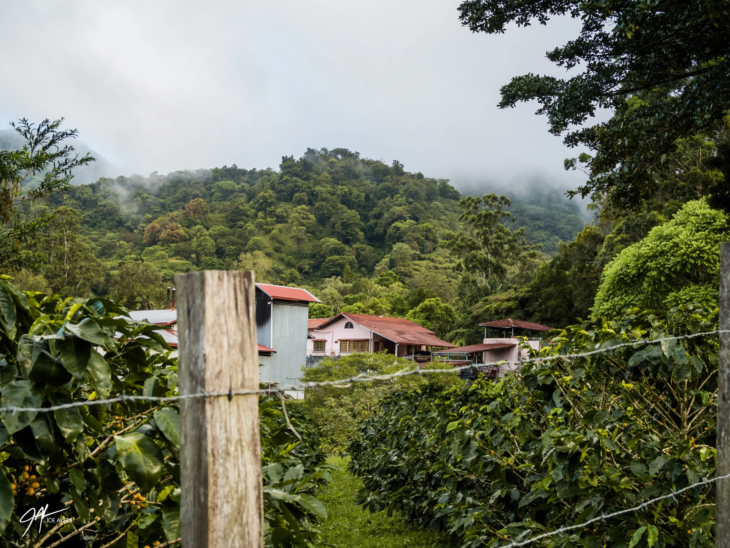 Boquete, Panama - April, 2026