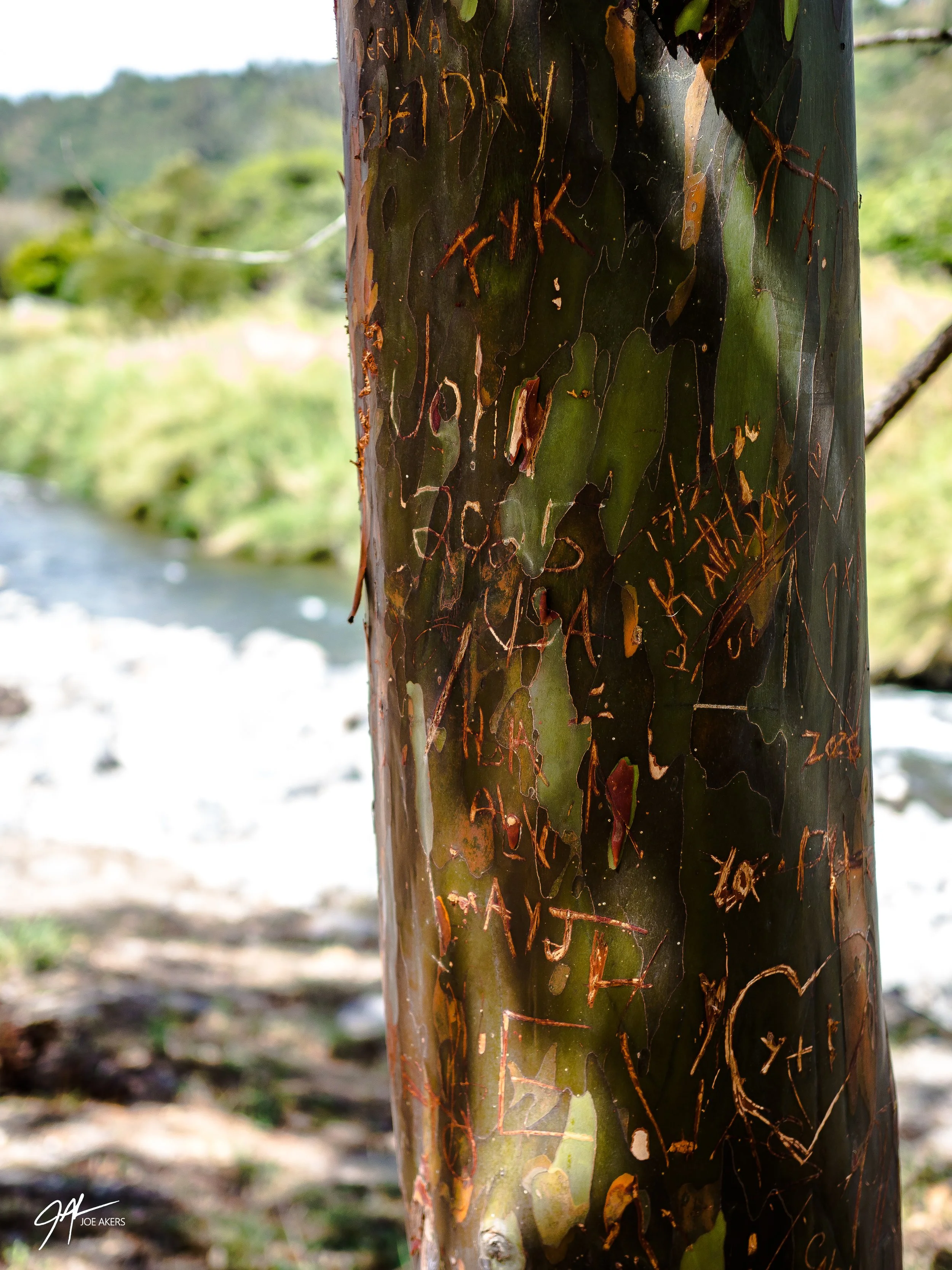 Boquete, Panama - April, 2026