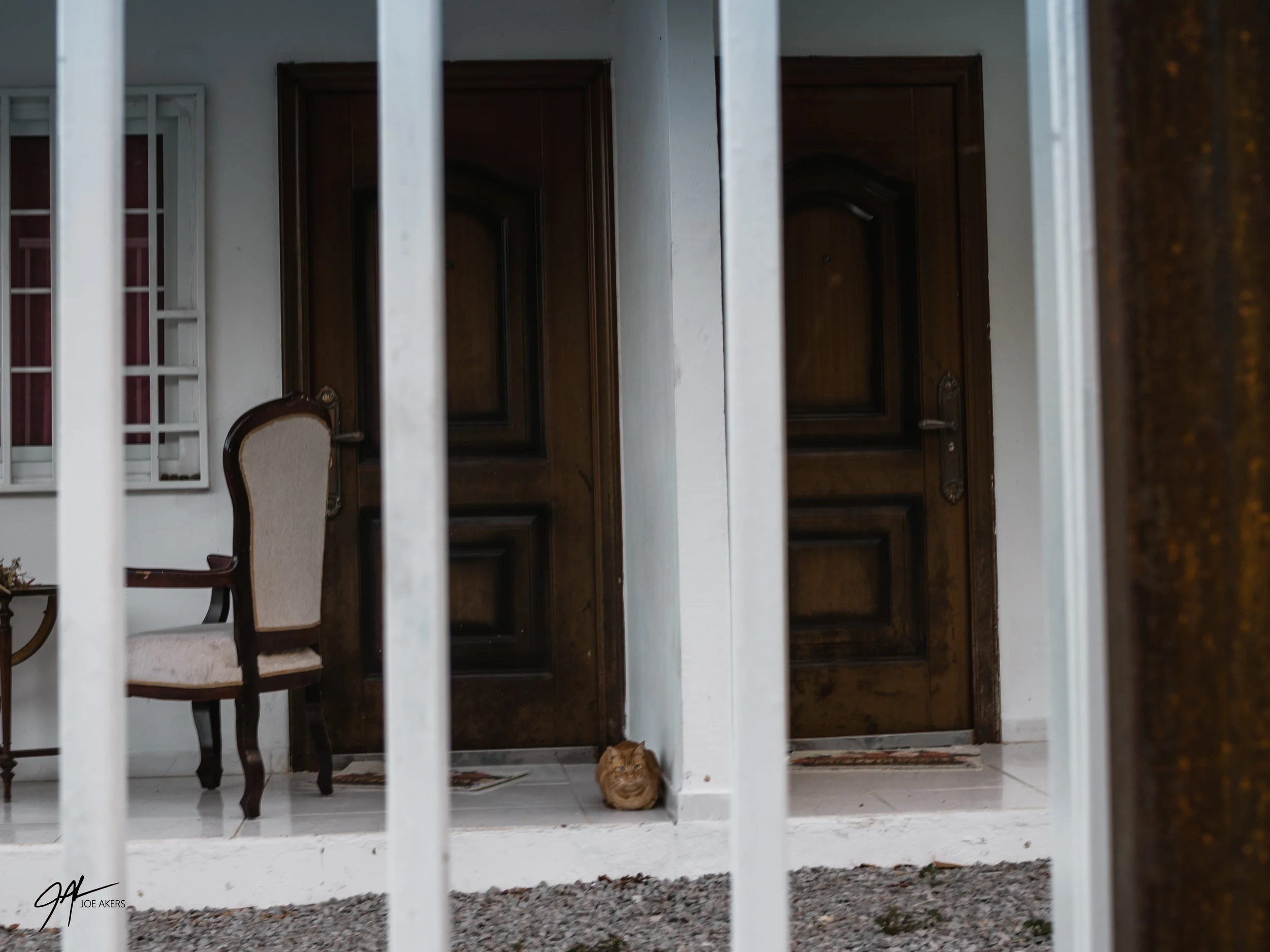 Boquete, Panama - April, 2026