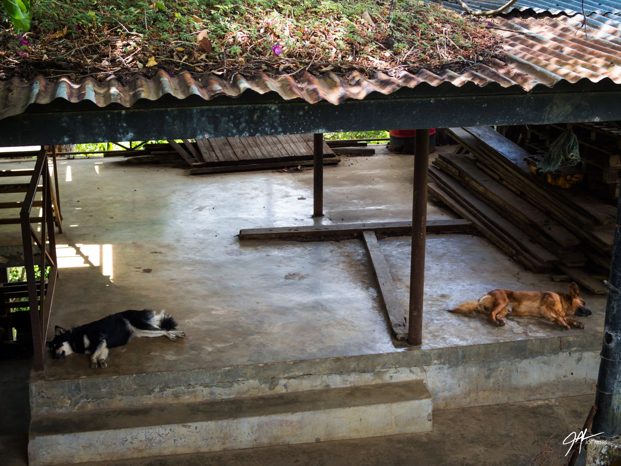 Boquete, Panama - April, 2026