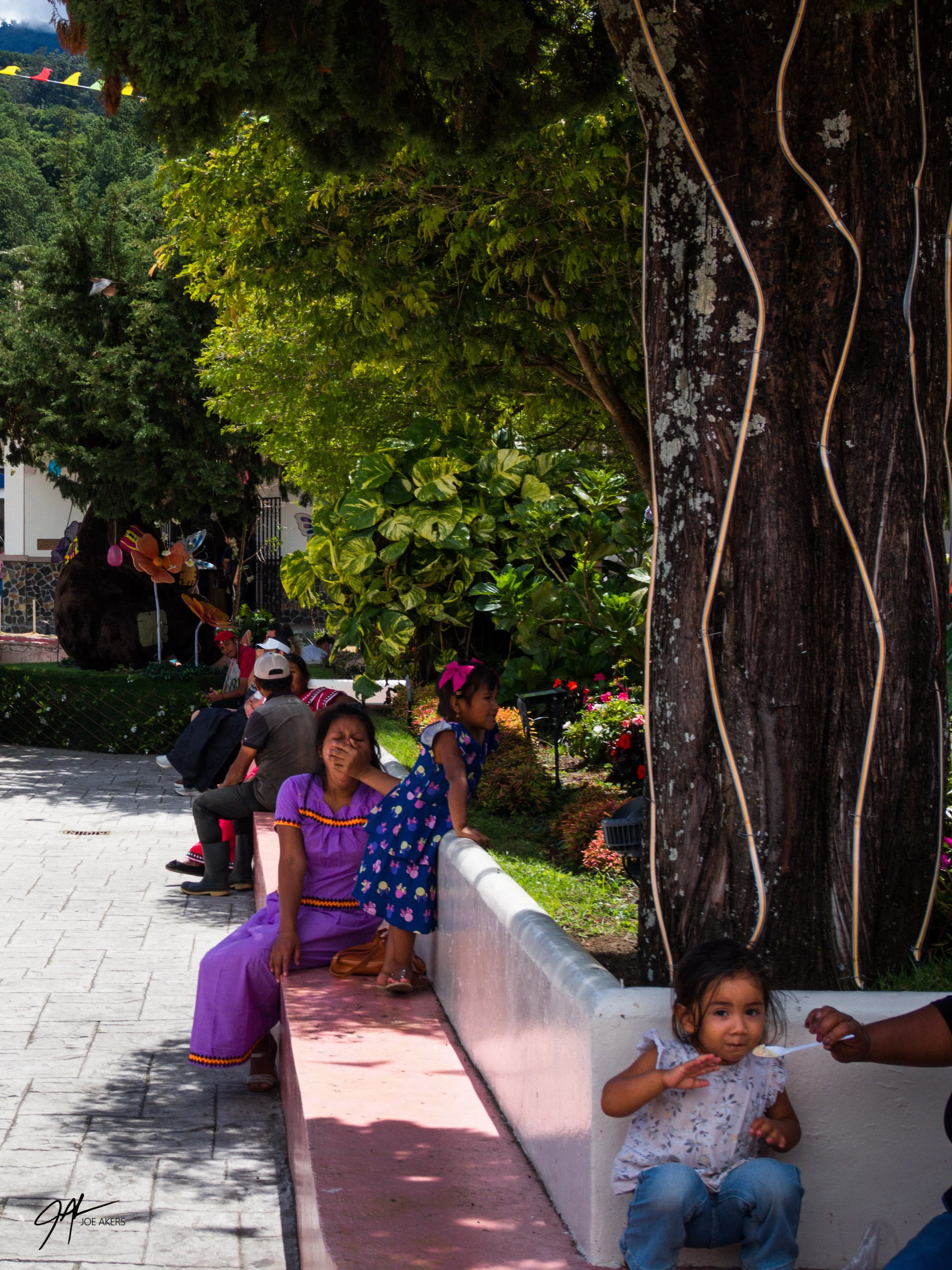 Boquete, Panama - April, 2026