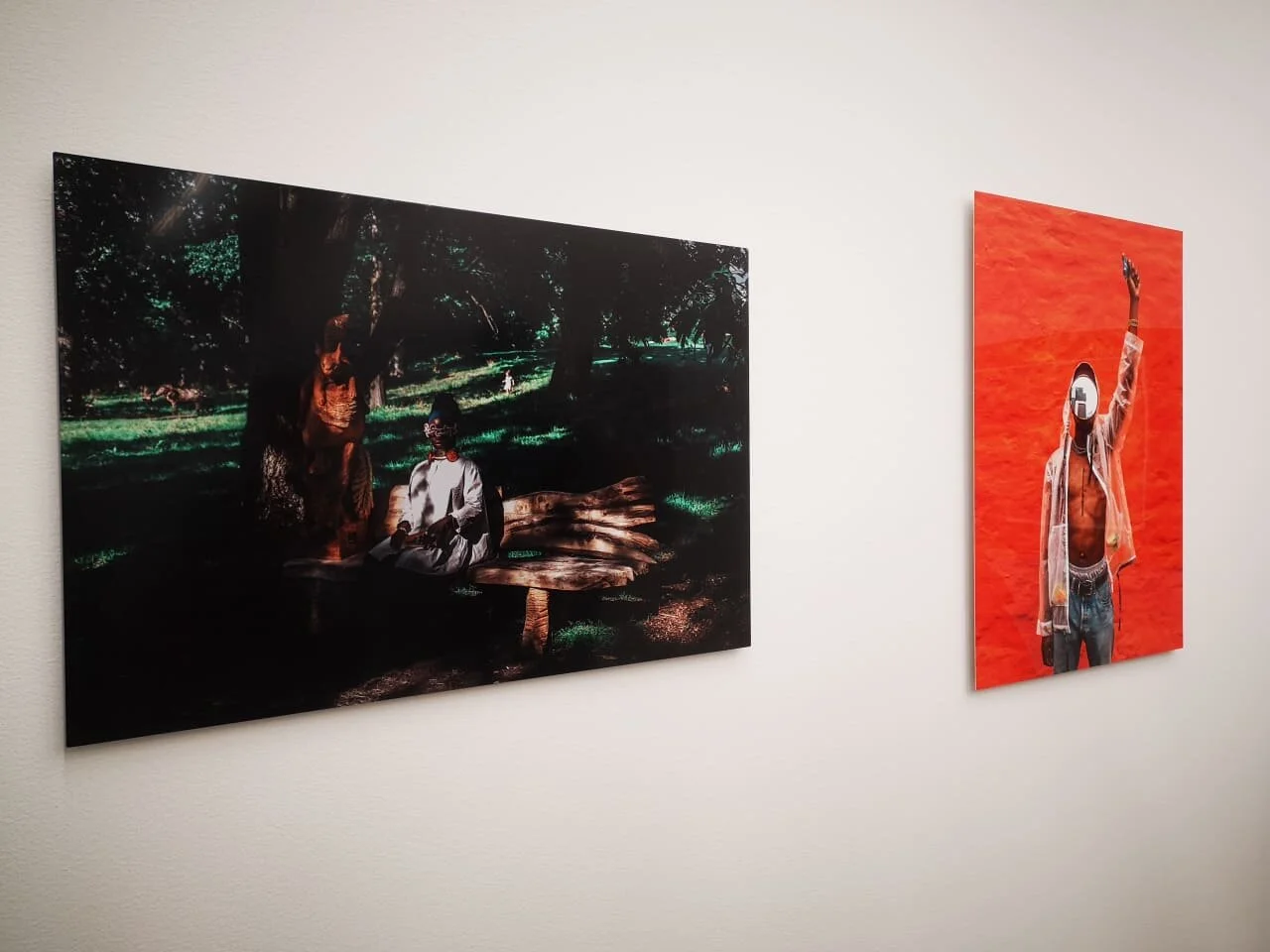 Rafiki In the eyes of a child.jpeg