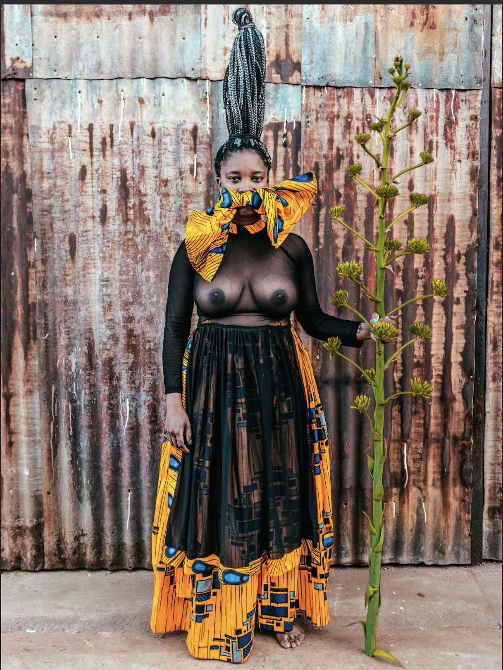 United Healers of the Soil III (2021)