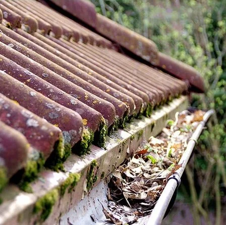 House-gutters-full-of-old-leaves.jpg