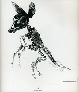 nicolaslampert_kangarooedit.0.jpg
