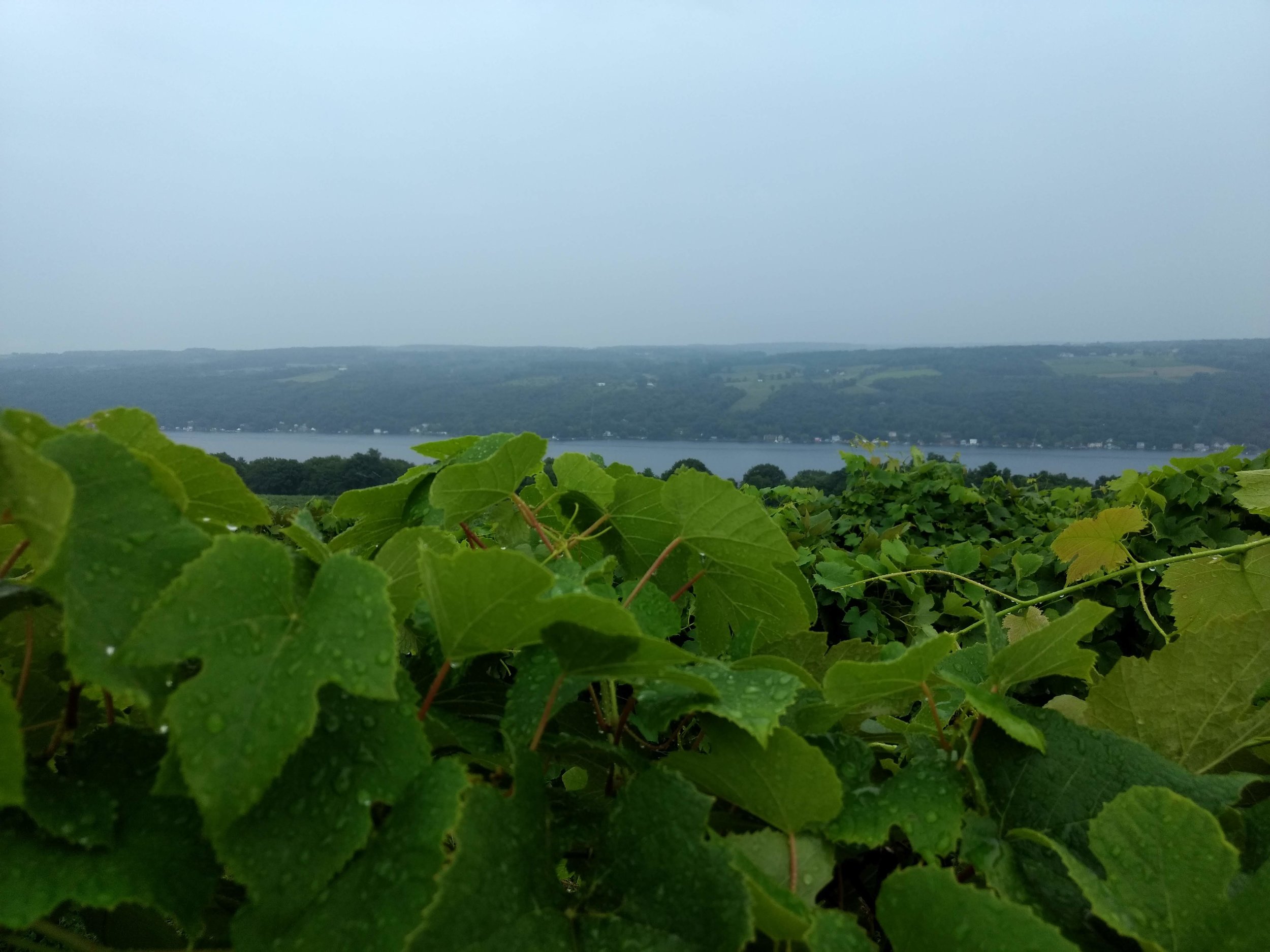 Friends of Hammondsport Area Trails and Parks, Inc.