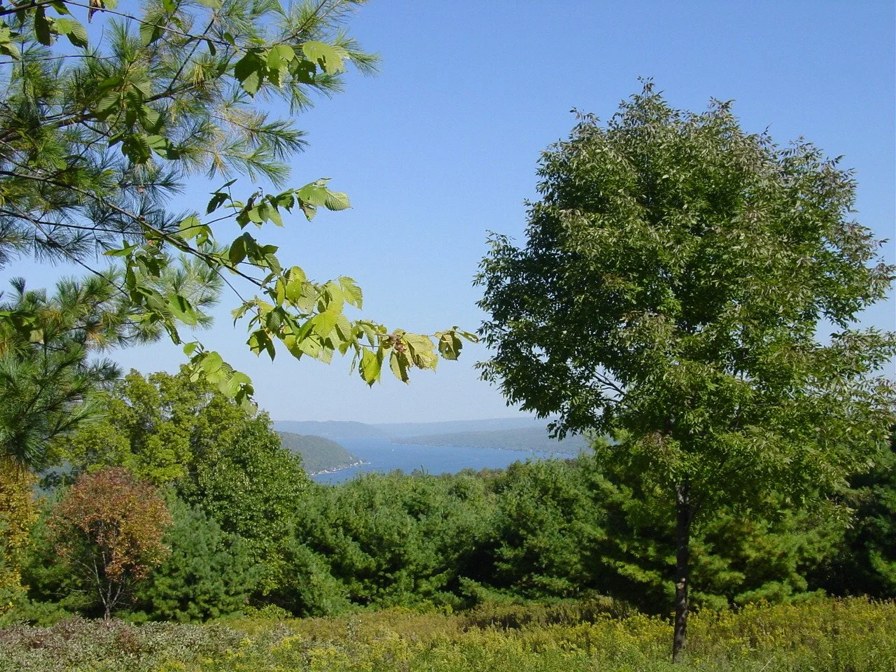 DSC02473.JPG