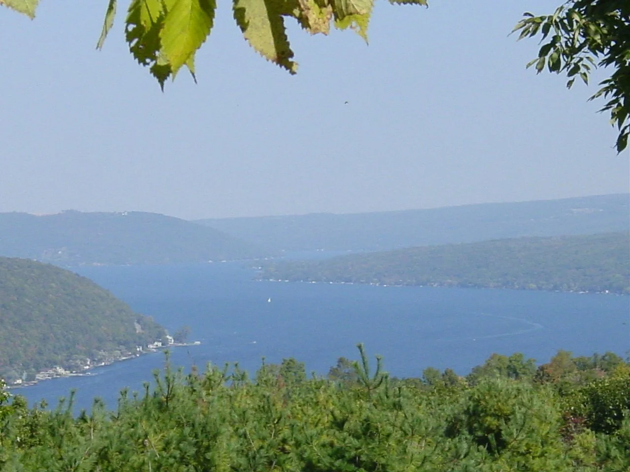 DSC02474.JPG