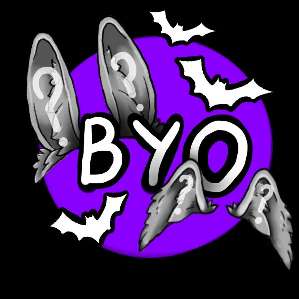 Build your own cover.jpeg