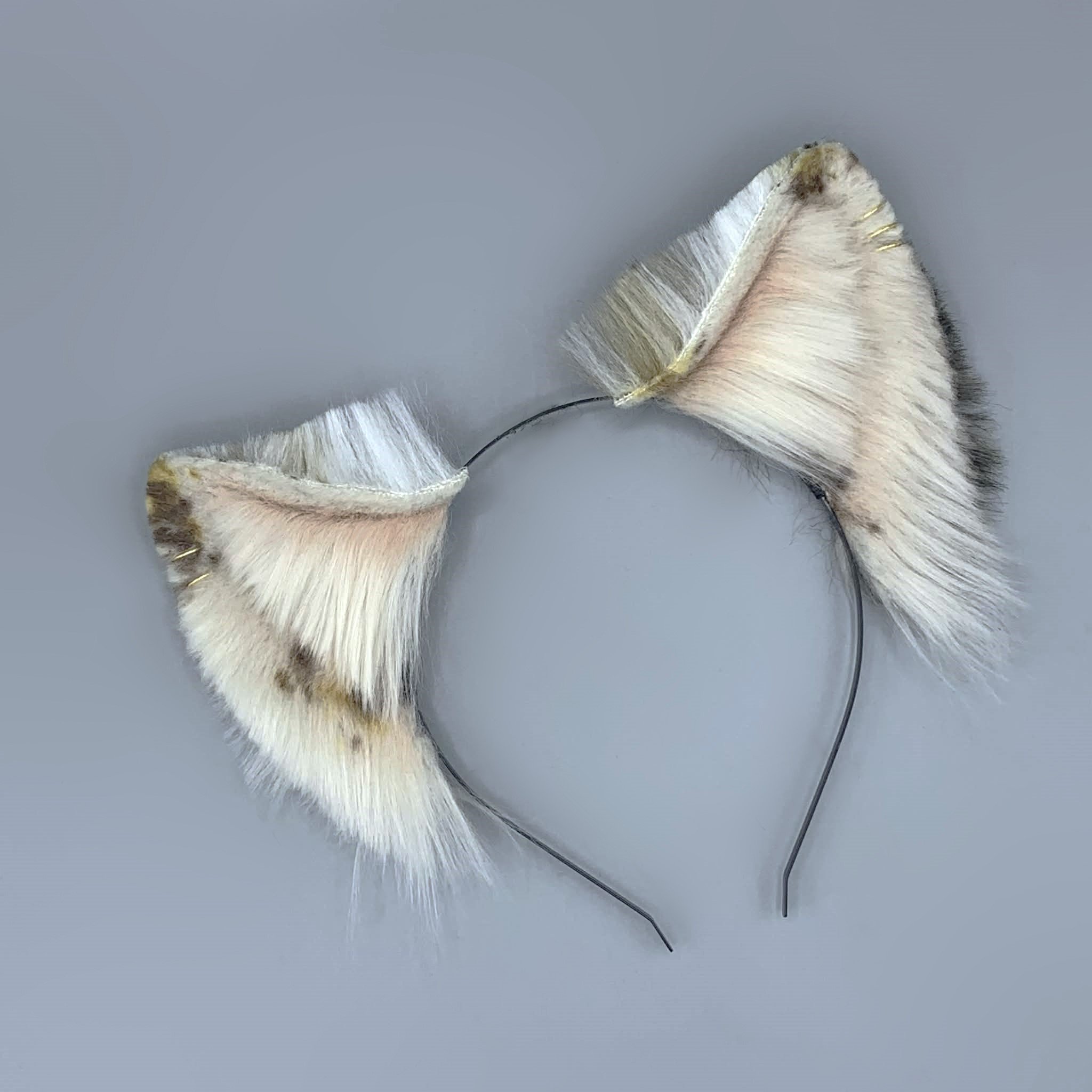 blonde calico wolf (1).jpg