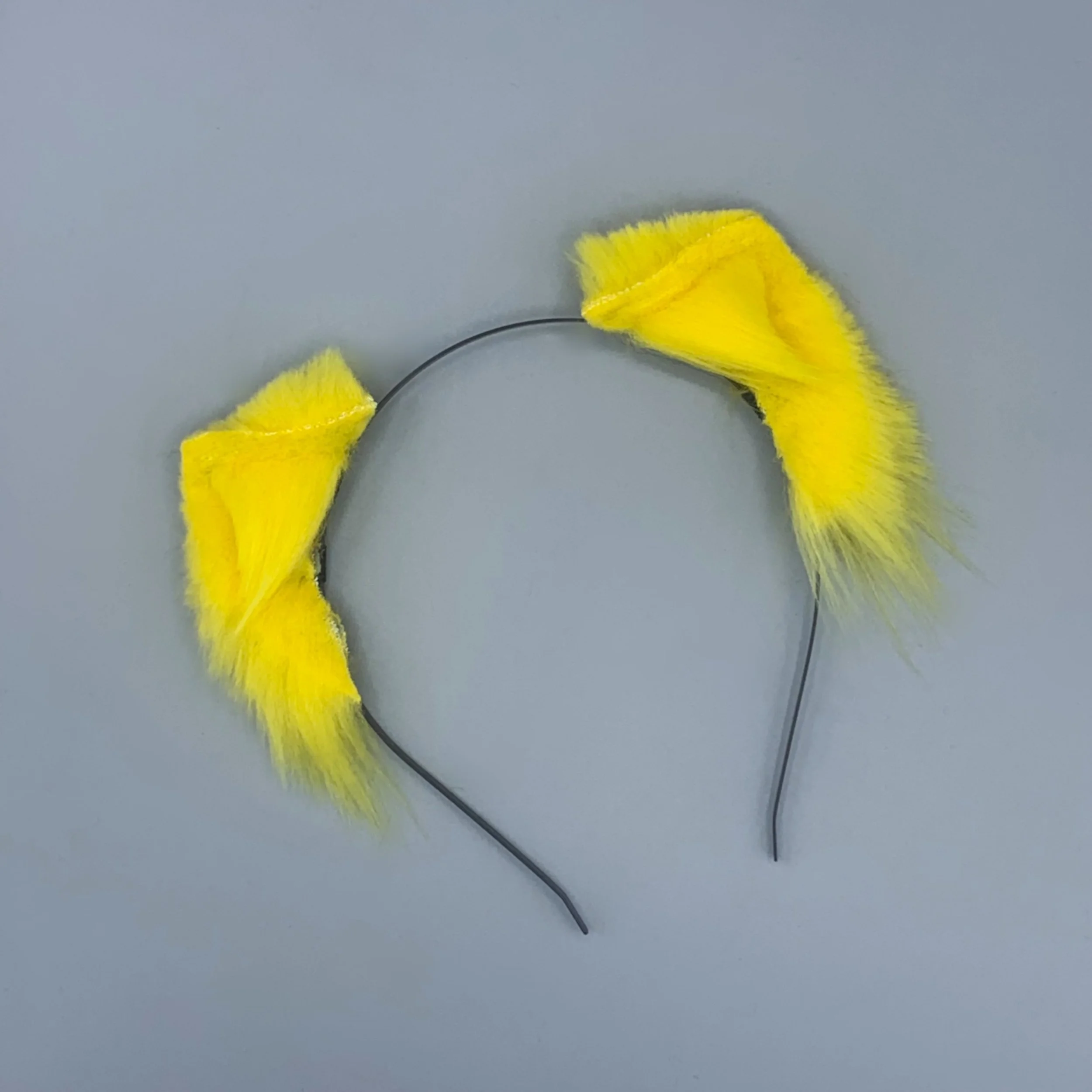 Yellow kitten 1.jpg