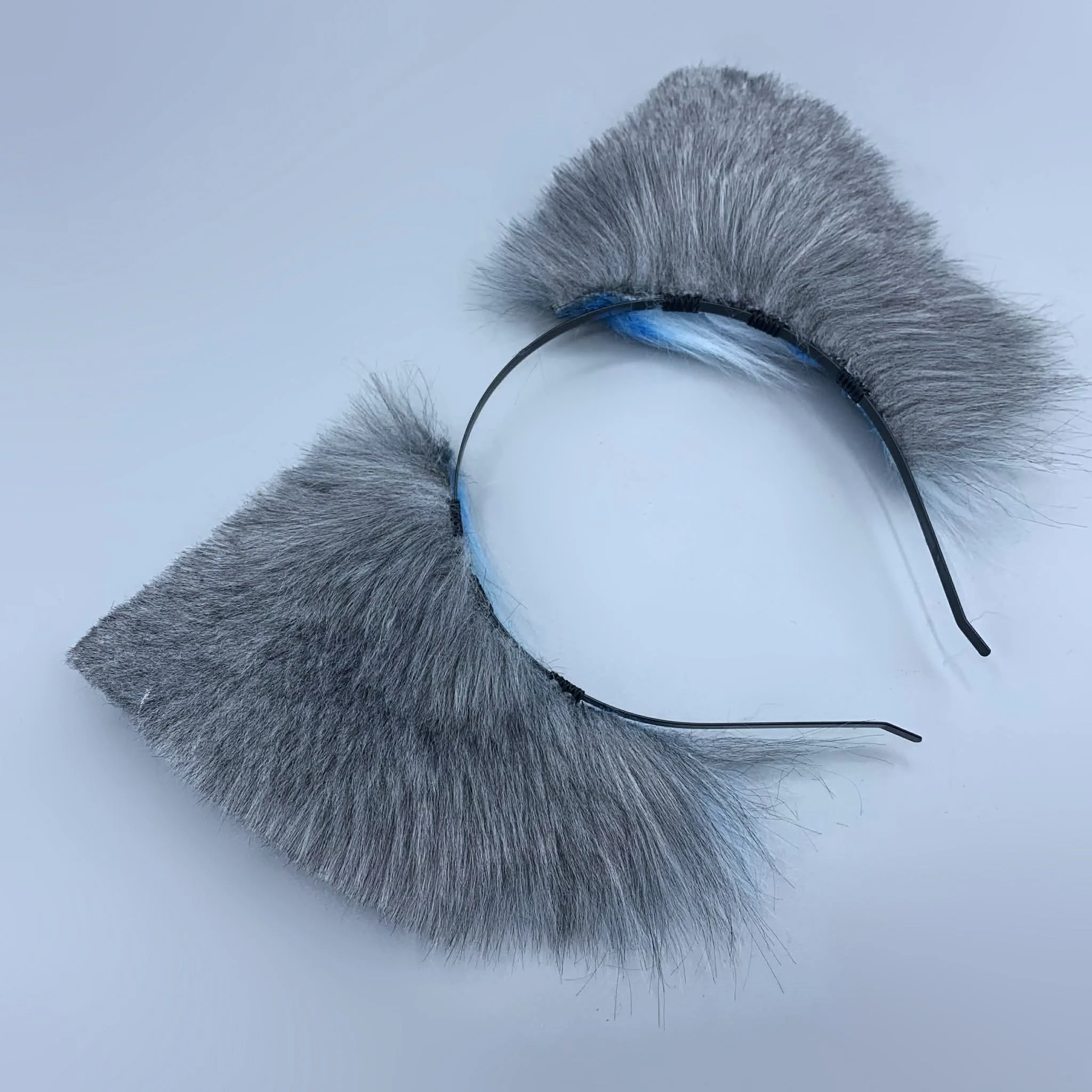 grey blue canine (3).jpg