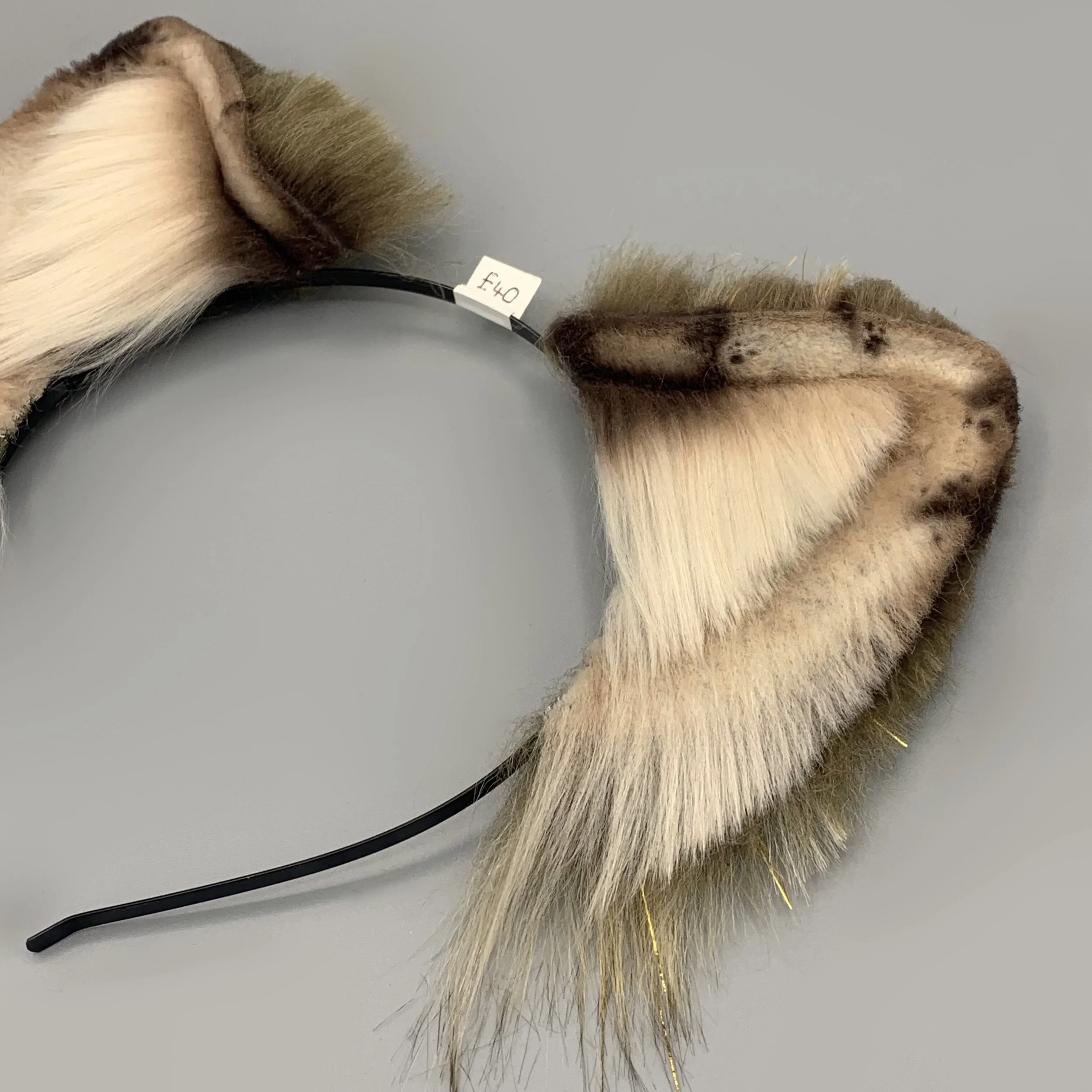 Gold Brown Wolf 4.jpg