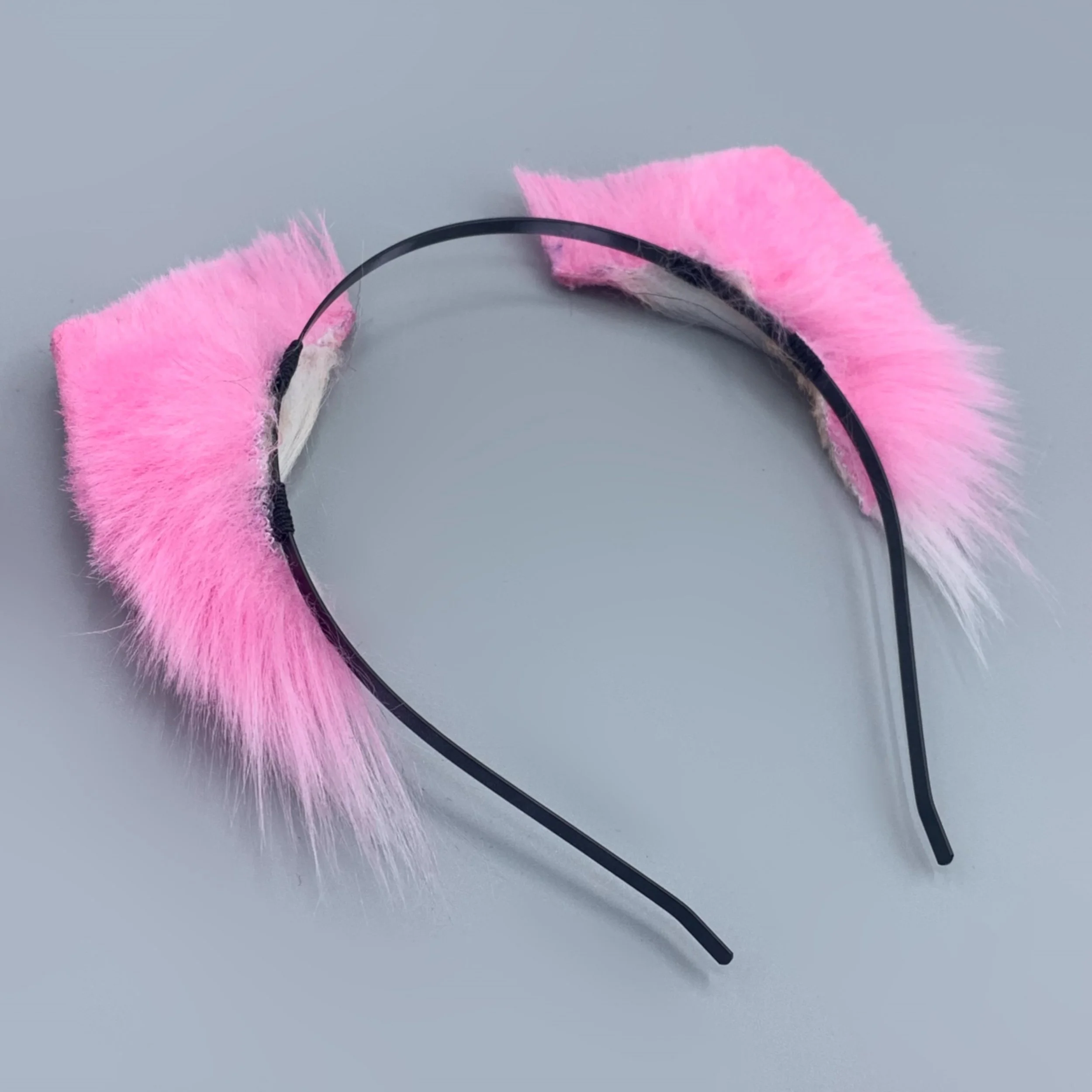 Pink white kitten 3.jpg
