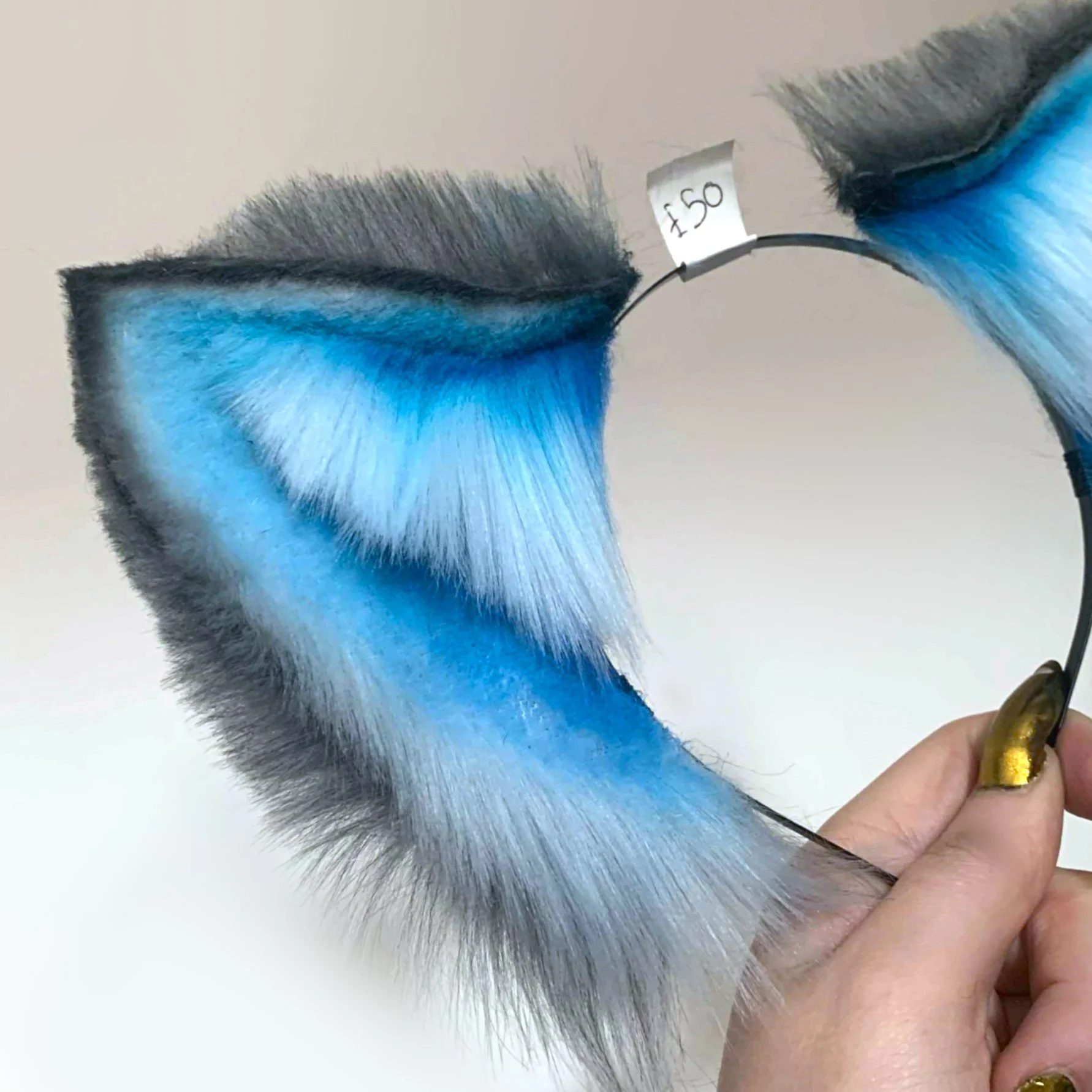 Grey Blue Canine 2.jpg