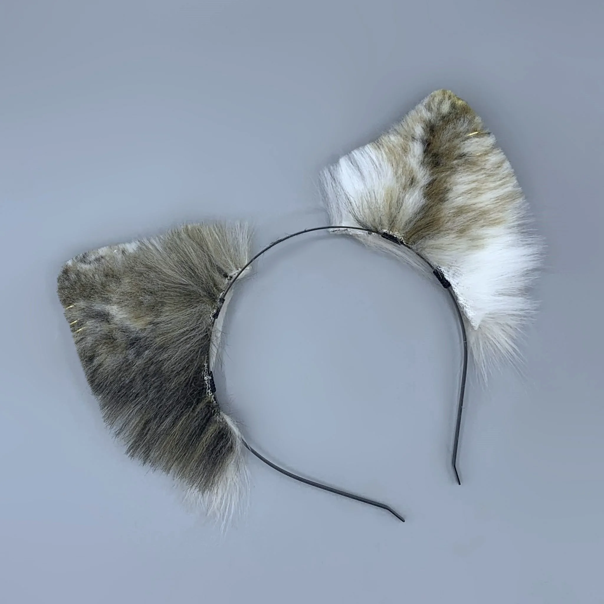 blonde calico wolf (3).jpg