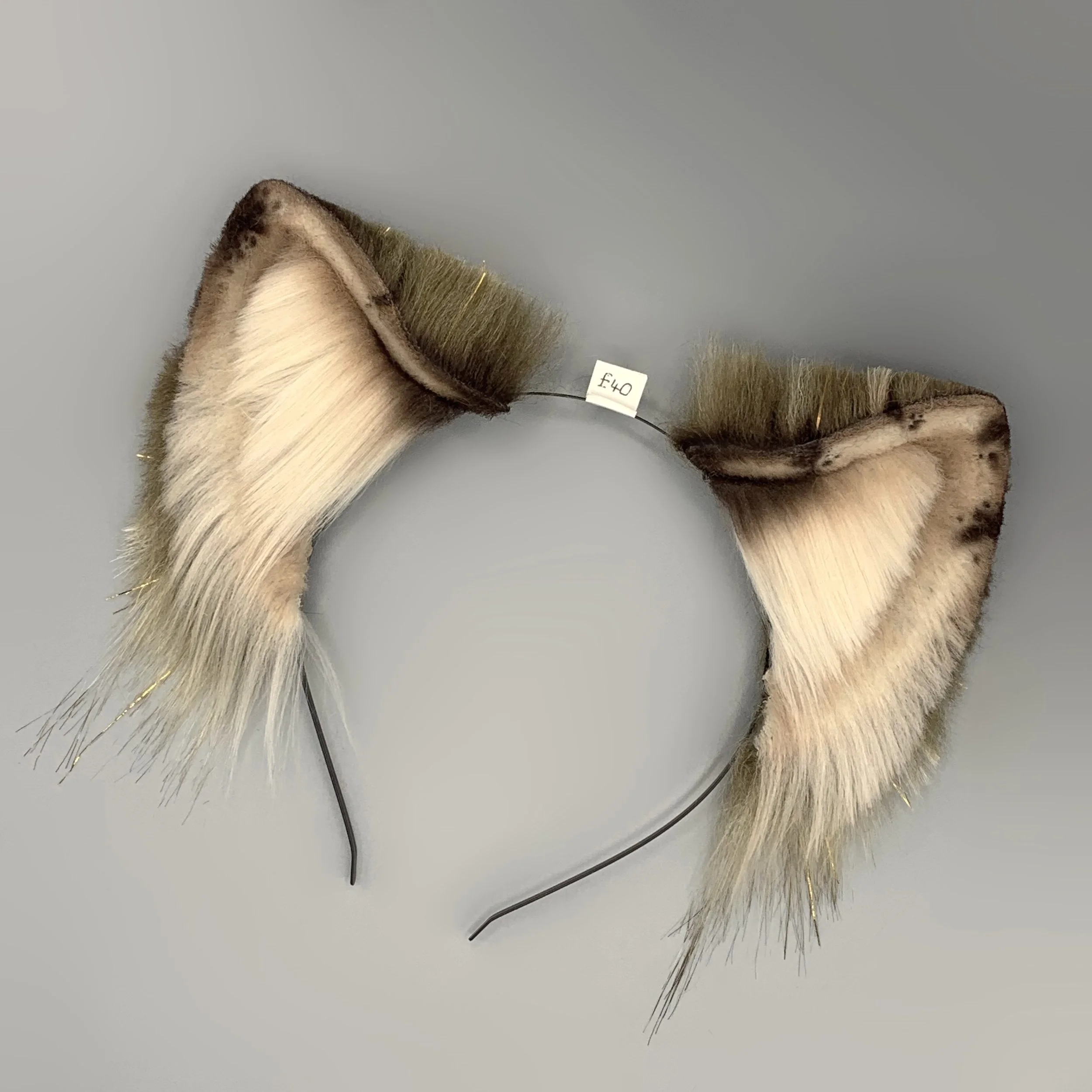Gold Brown Wolf 1.jpg