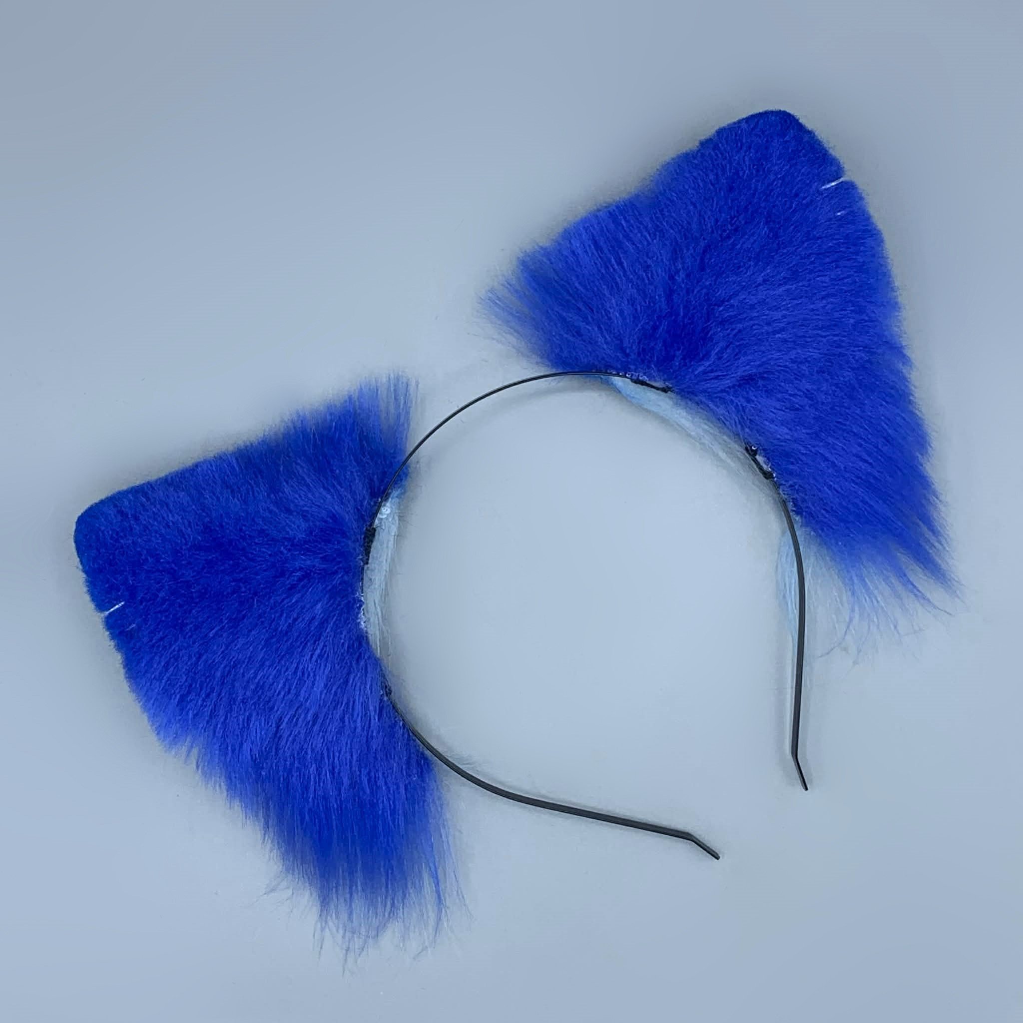 blue blue wolf (4).jpg