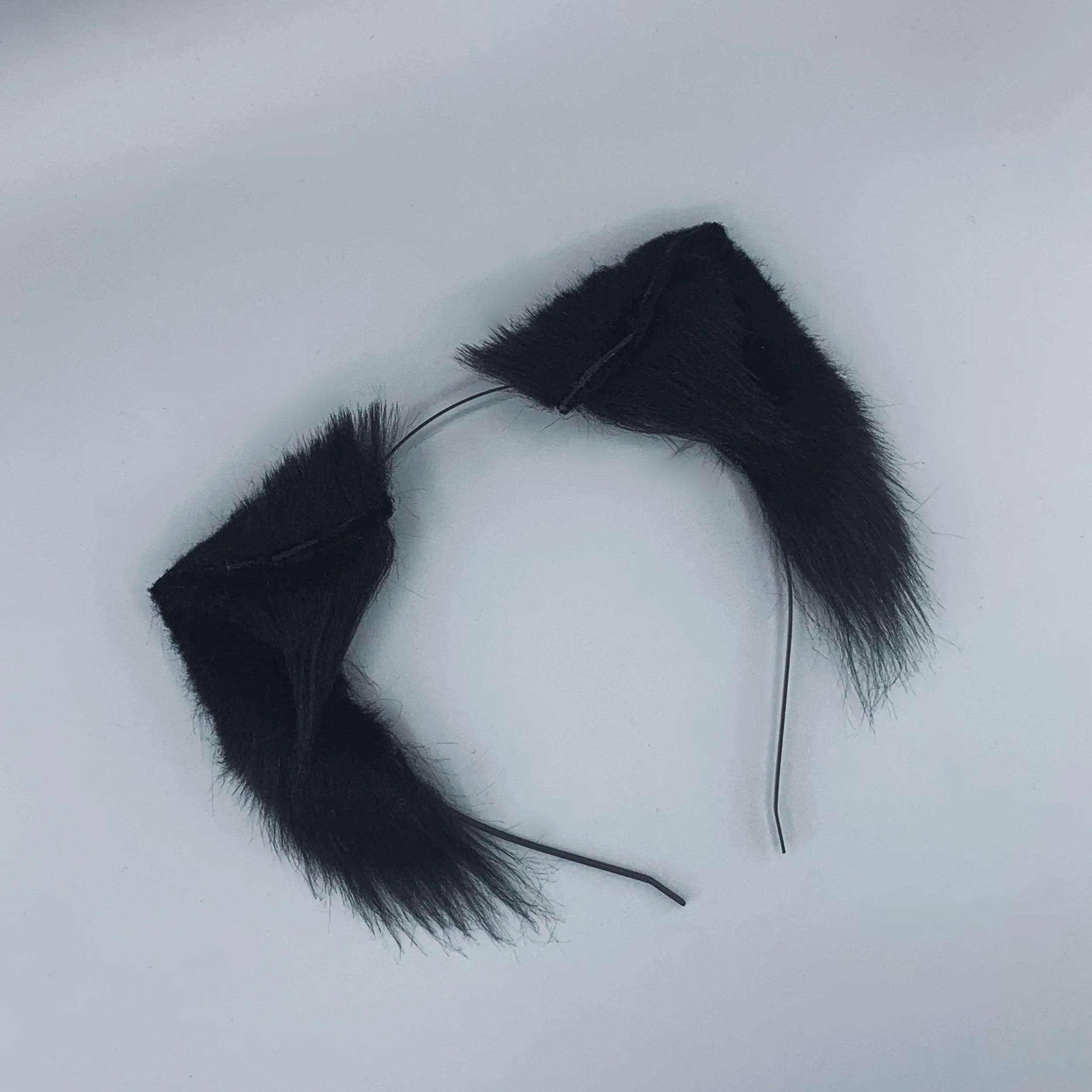Black kitten 1.jpg