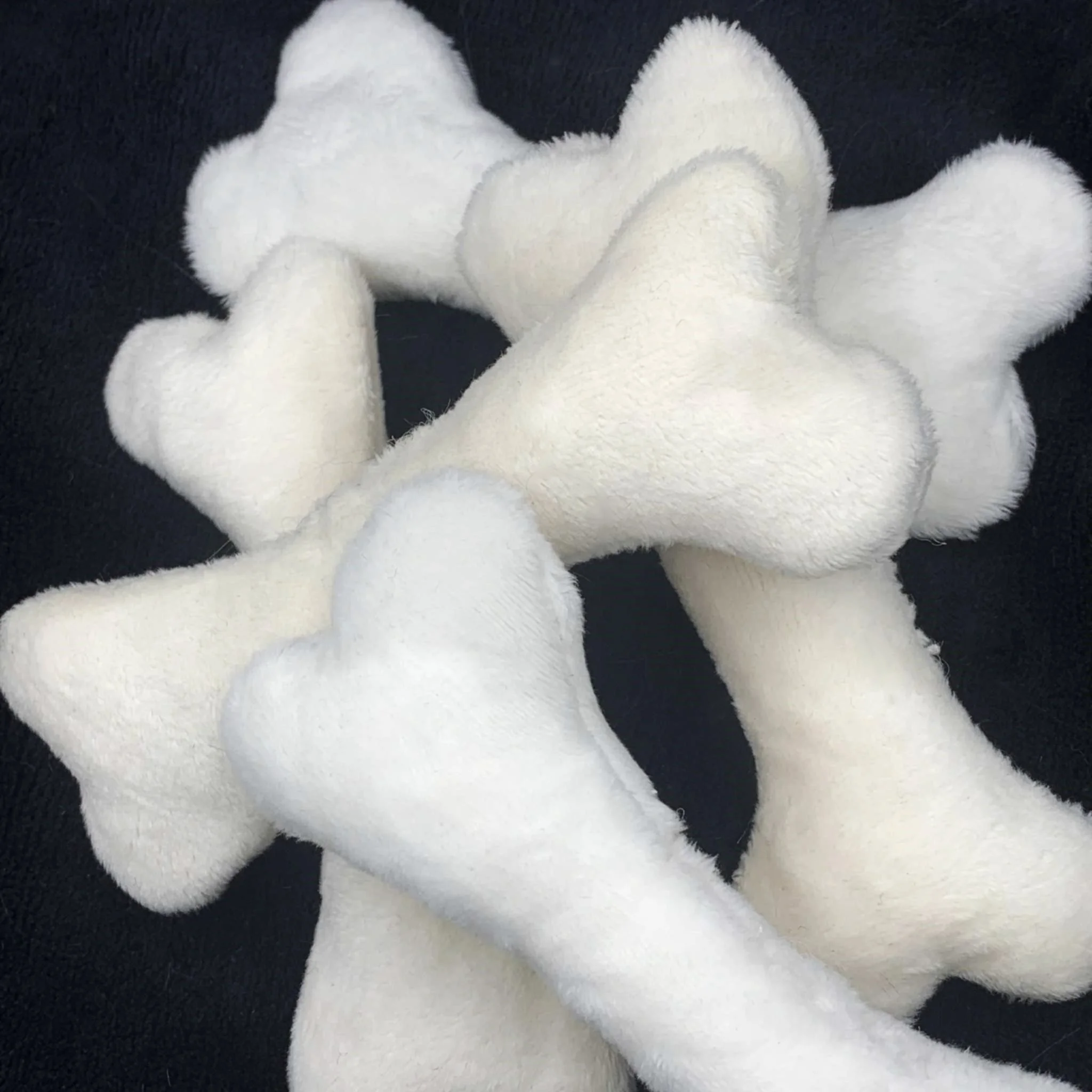 small squeaky bones 1.jpg