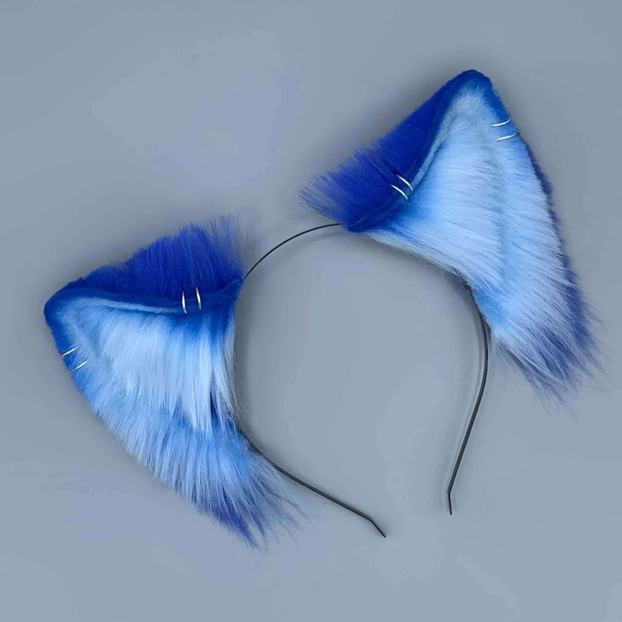 blue blue wolf (1).jpg