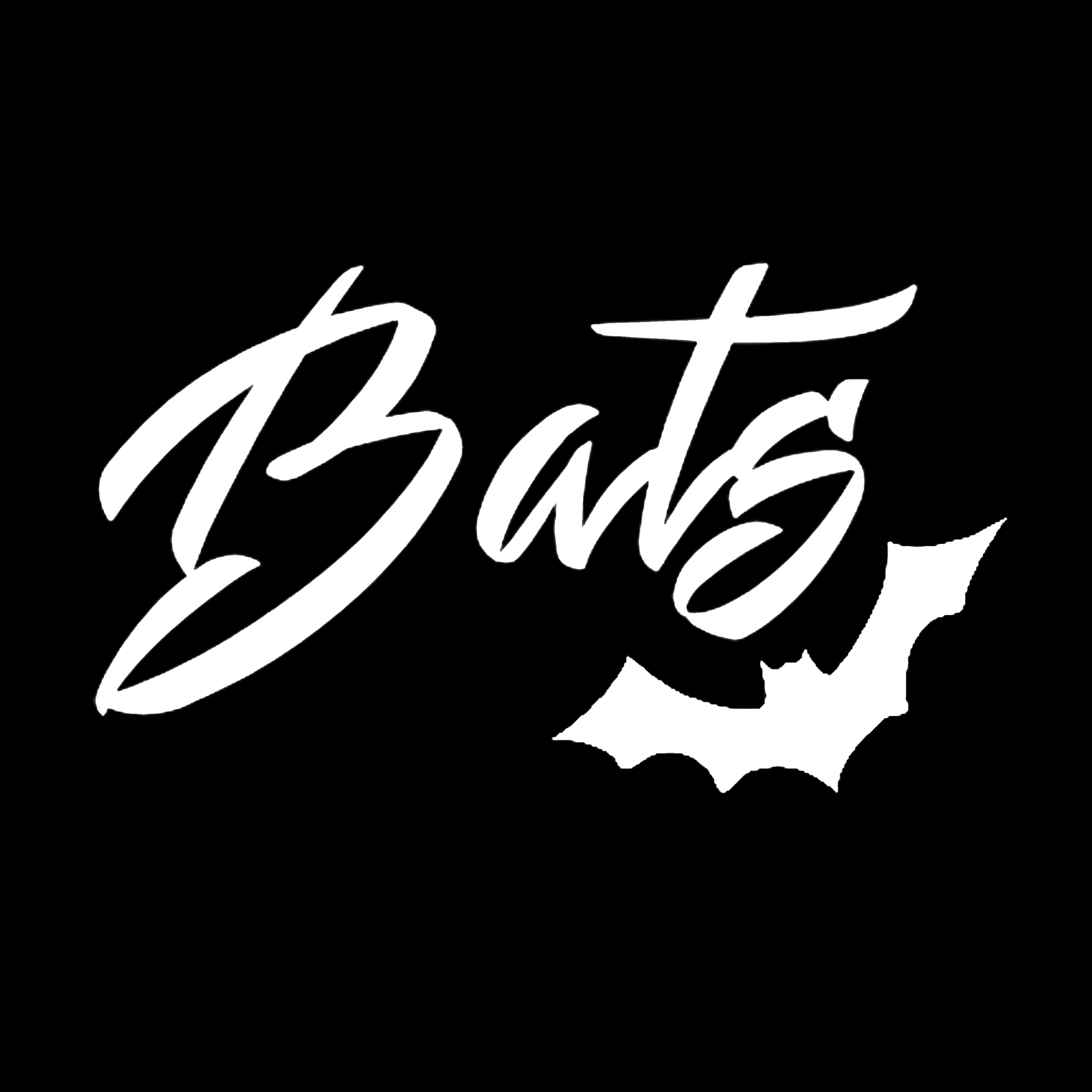 small icon 300dpi.png