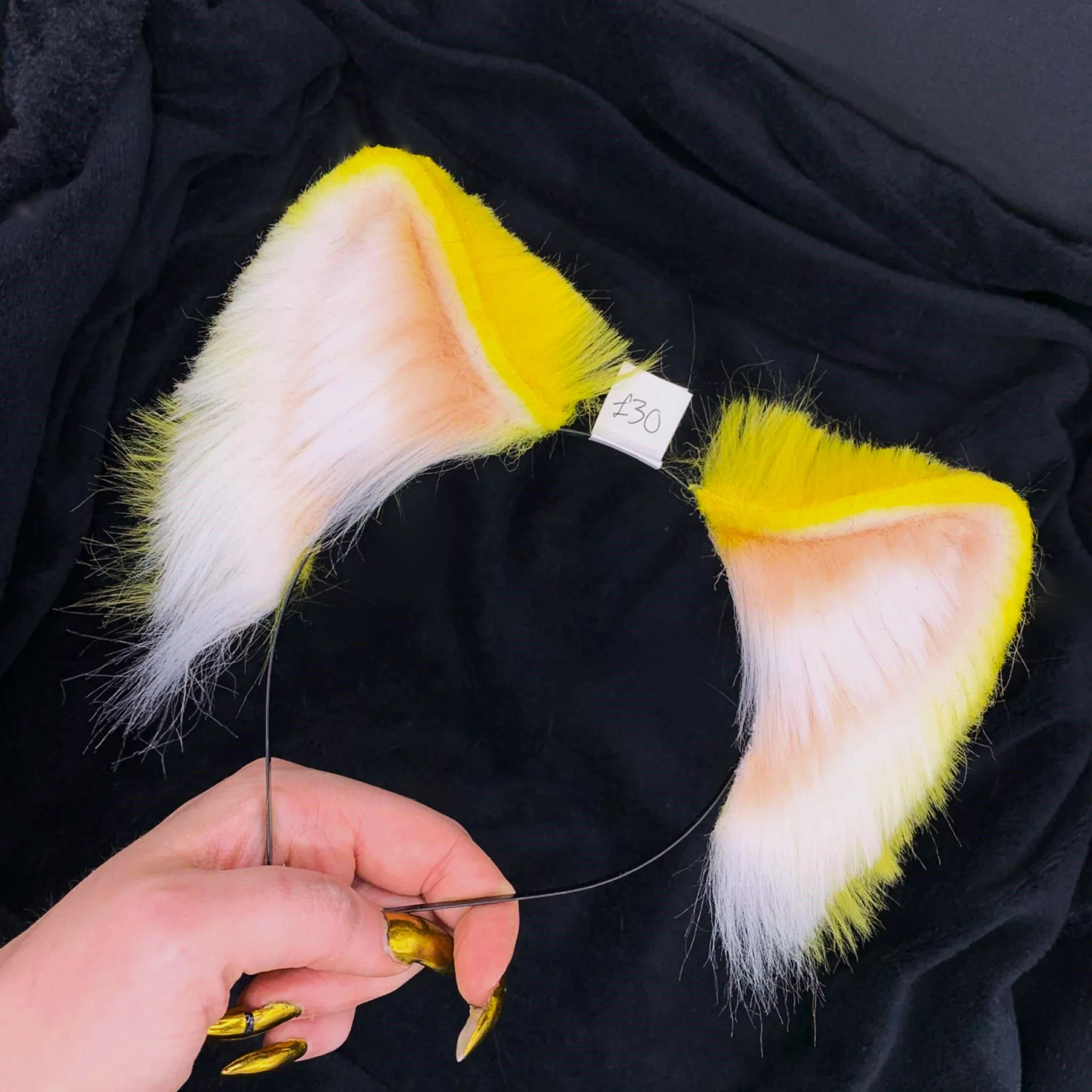 yellow wolf 1.jpg