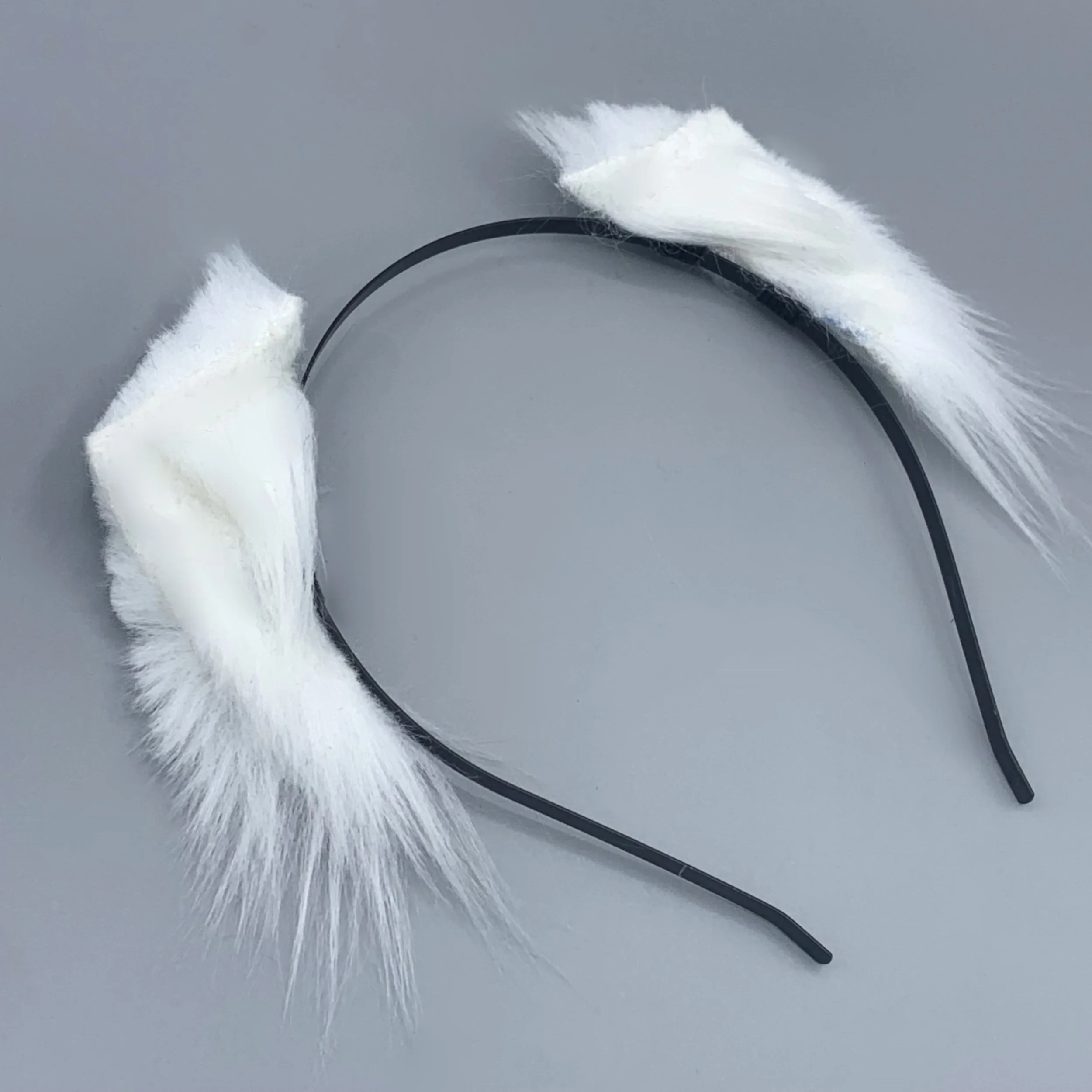 White kitten 2.jpg
