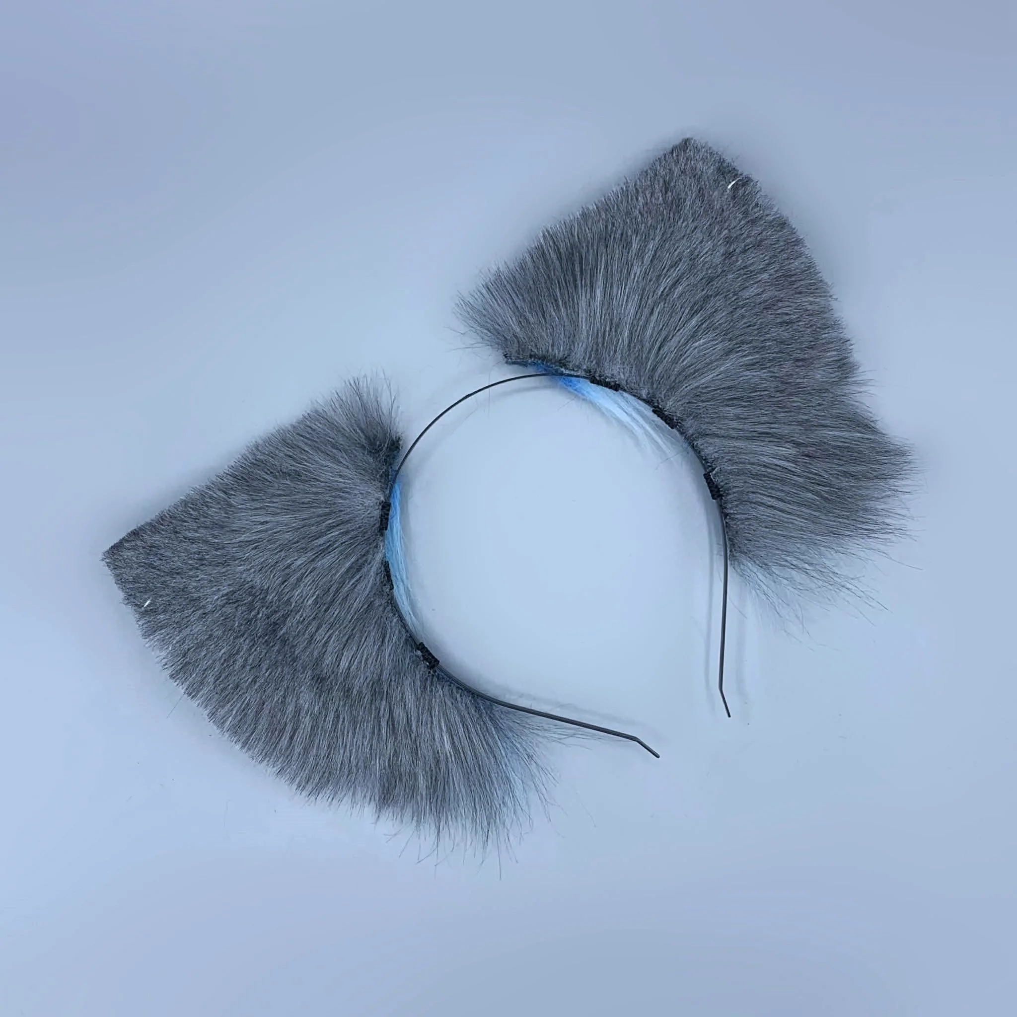 grey blue canine (2).jpg